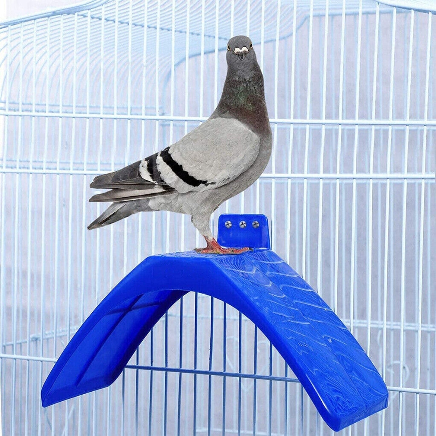 Bird Supplies Set Pigeon Dove Rest Stand Frame Grill Dwelling Perches 10 20 30pcs