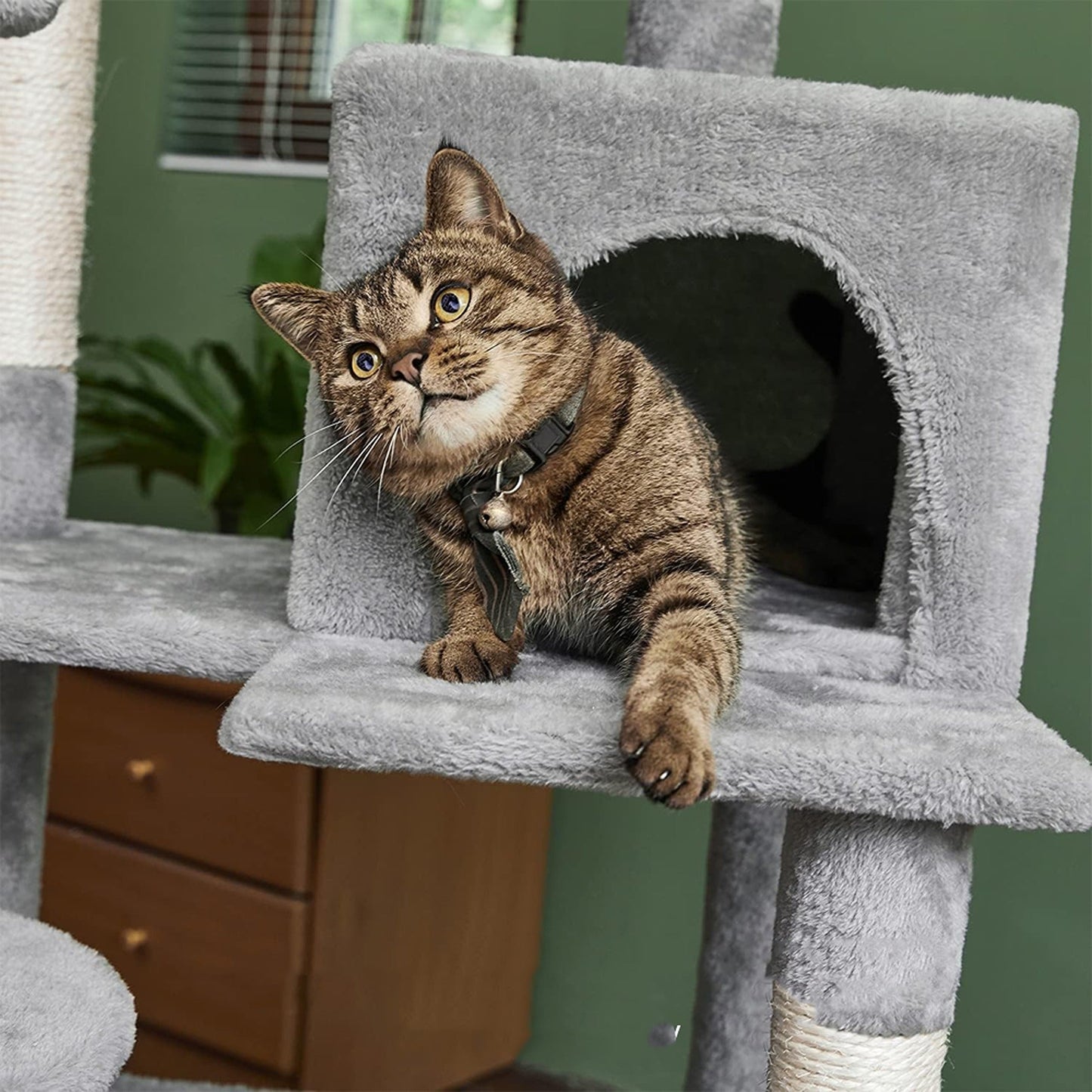 143cm Cats Condo House Cat Tree Tower with Scratching Post and Toys