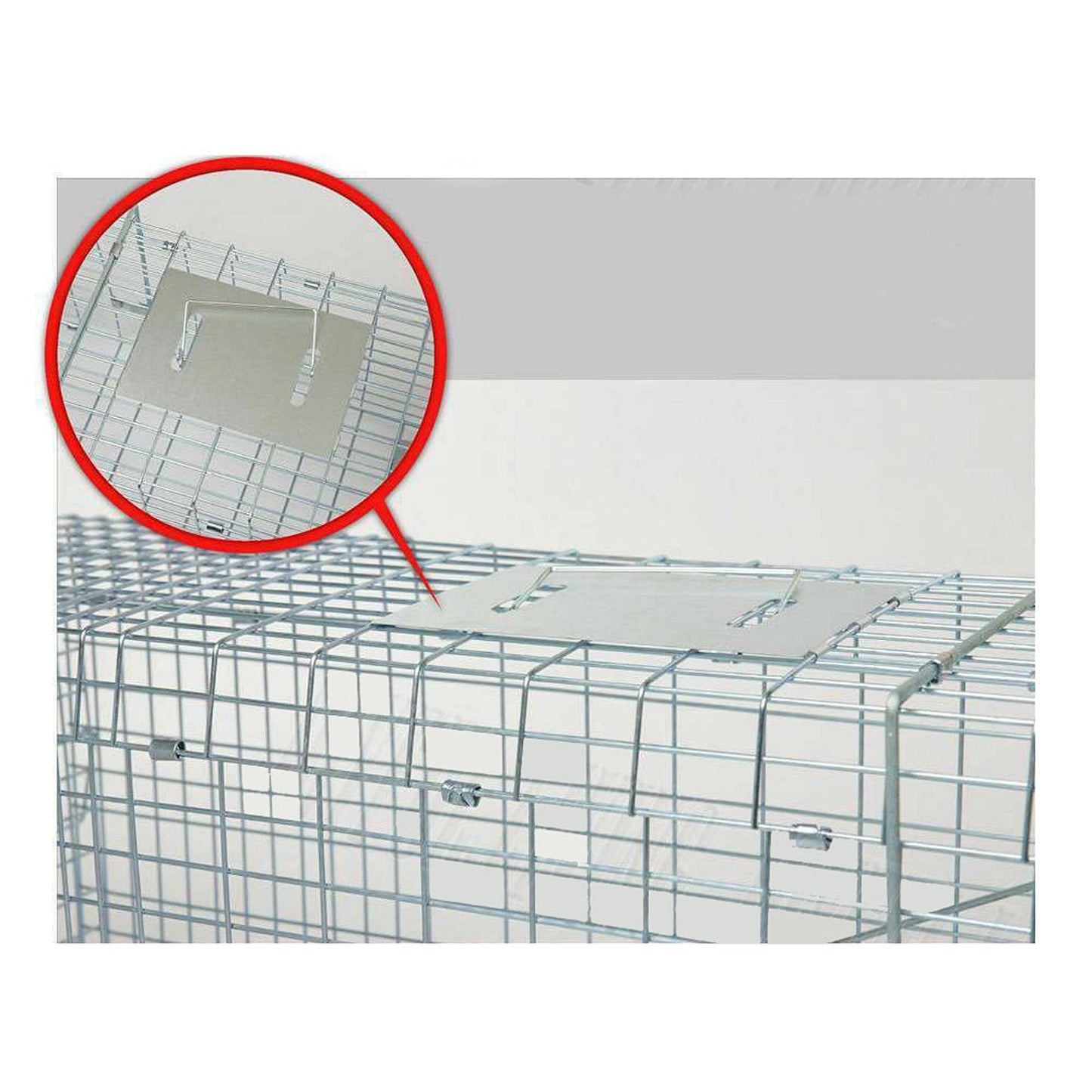 Live Catch Animal Trap Cage for Possum Cat Rabbit and Fox - Humane