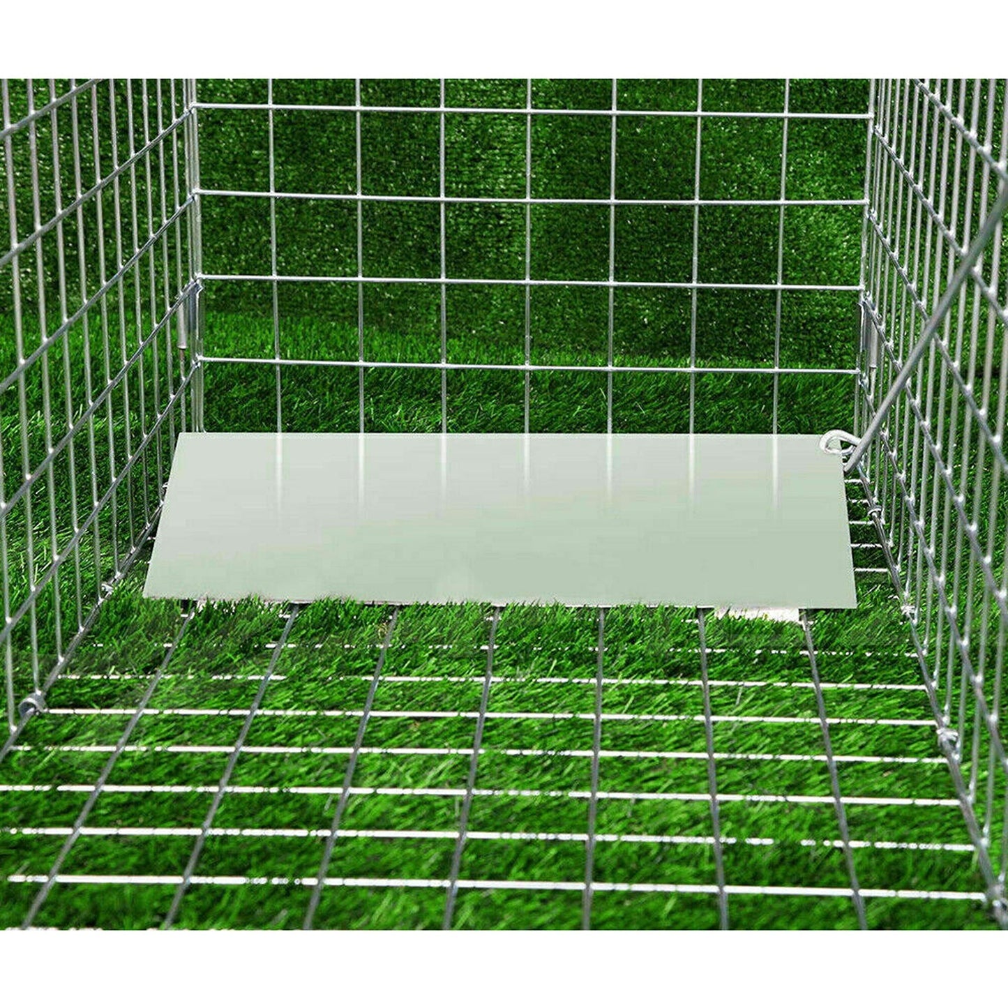 Folding Humane Live Catch Animal Trap Cage for Possum Fox Rat Rabbit Bird