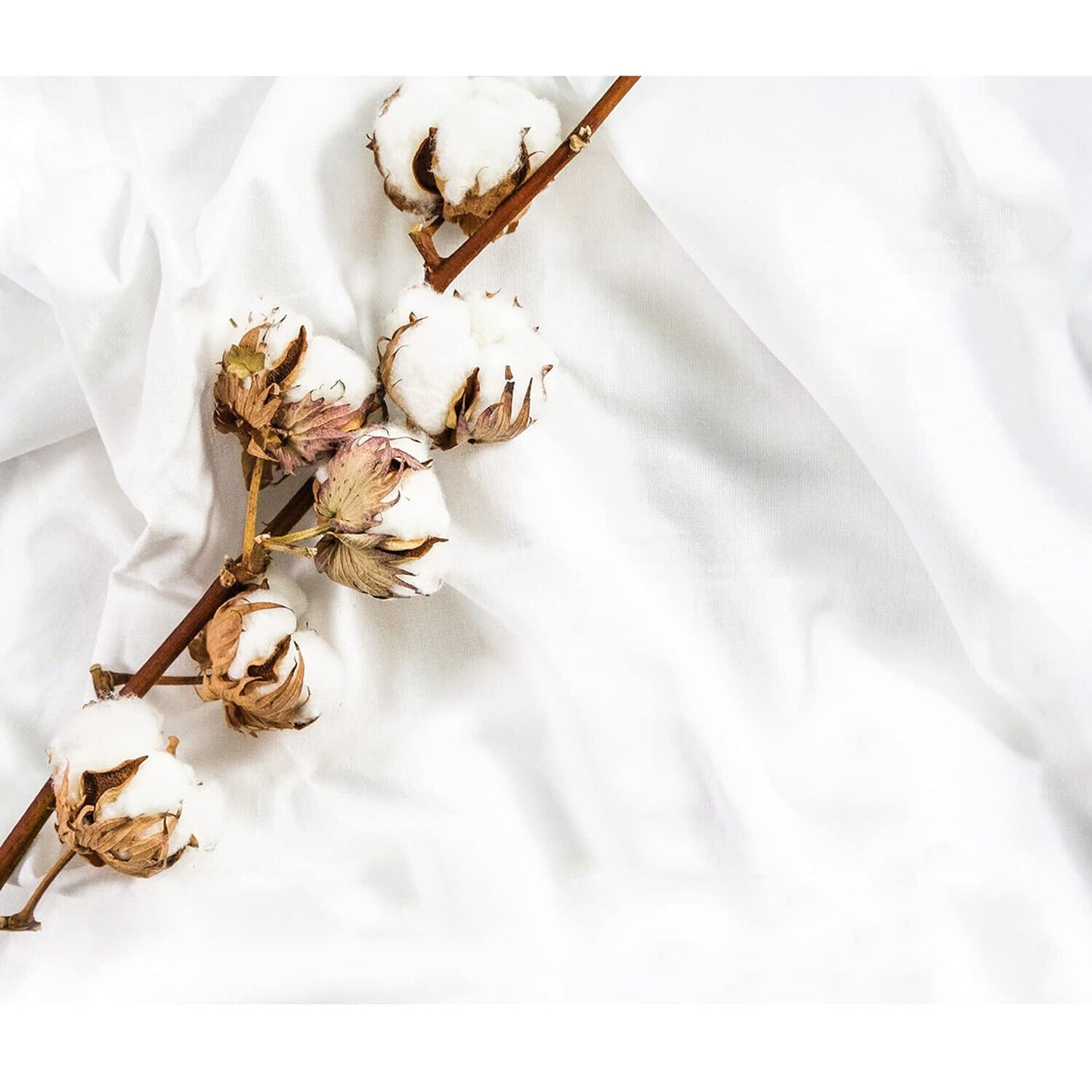 White All Size Sheet Set Egyptian Cotton Percale