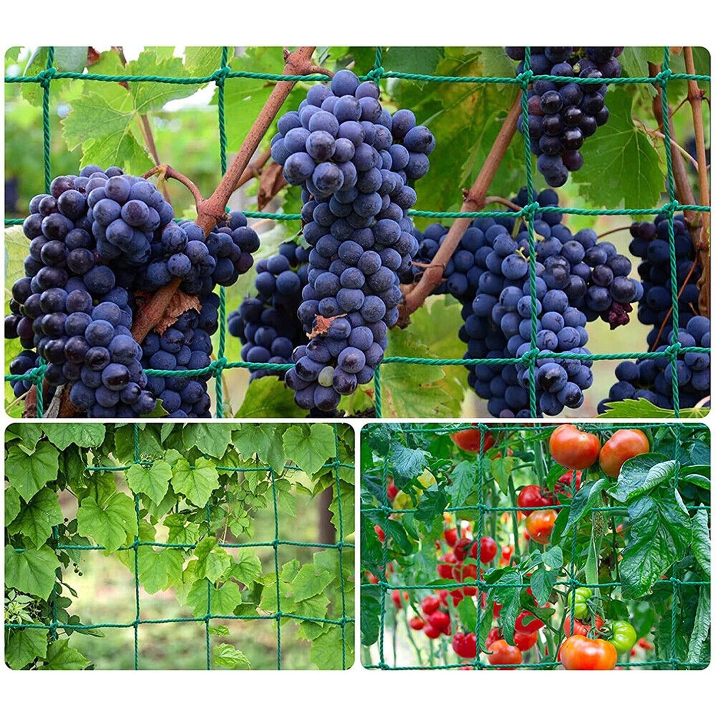 2-Pack Support Mesh for Climbing Plants and Flowers