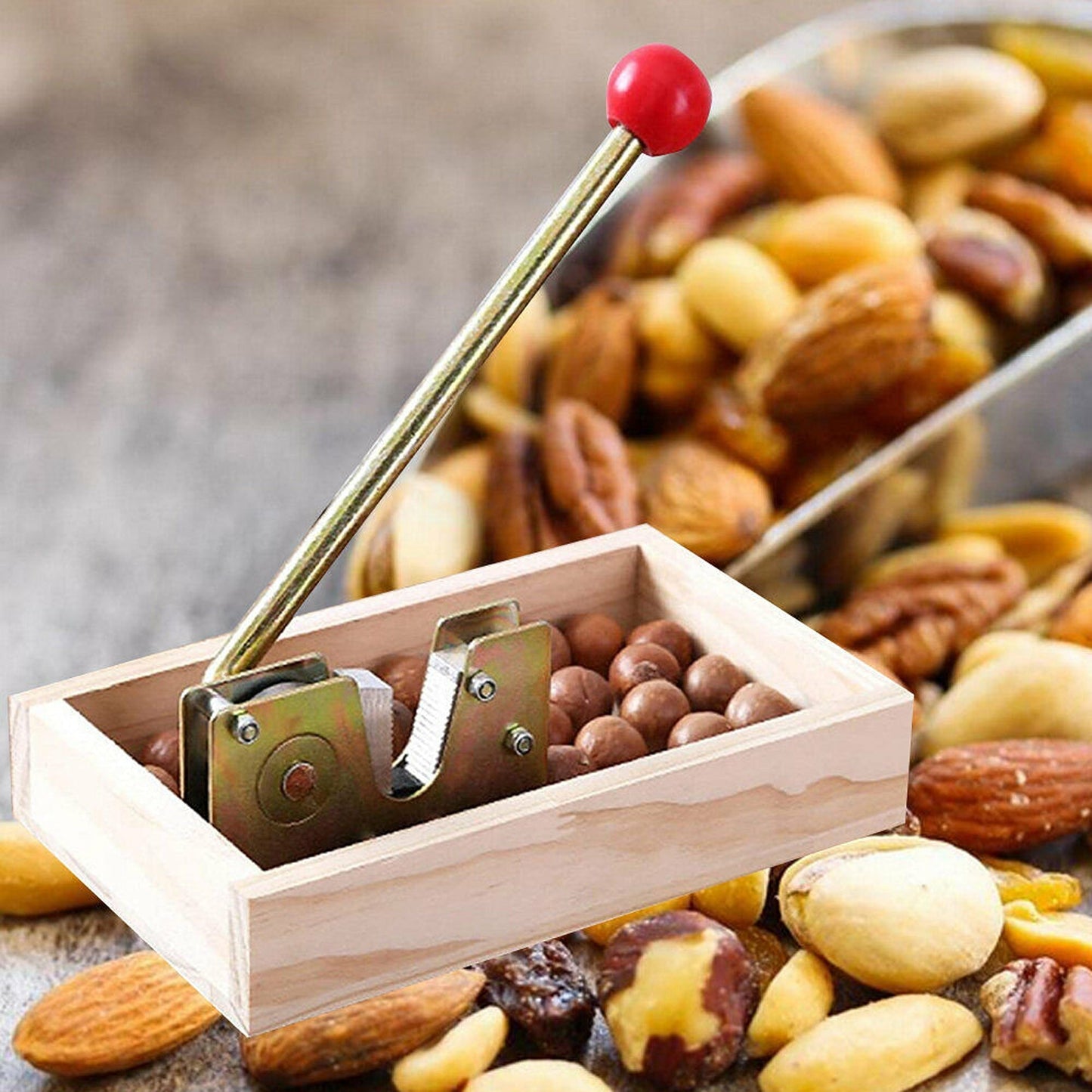 Manual Macadamia Nut Cracker with Hand Grip Durable Nutcracker Tool