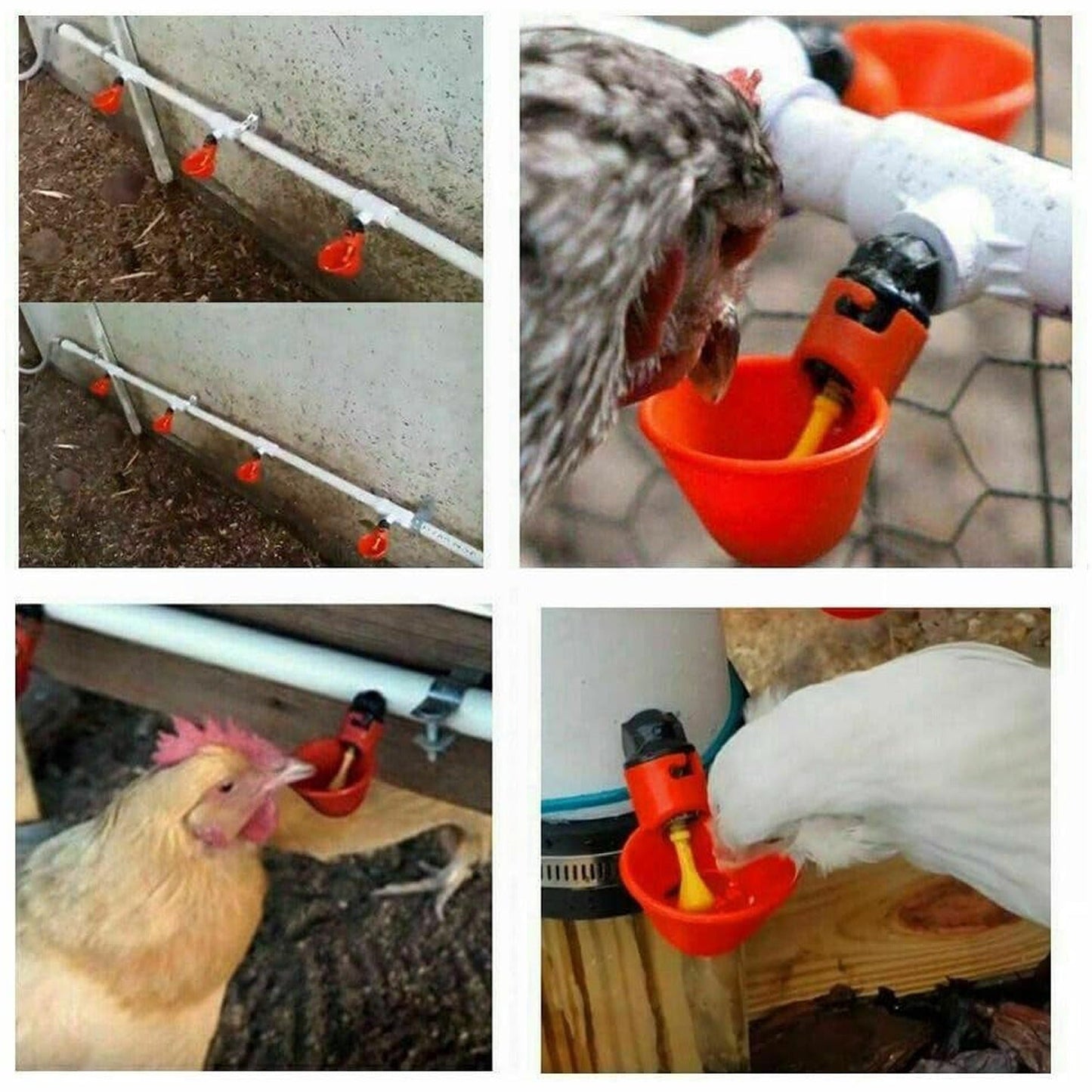 10pcs Automatic Chicken Waterer Cups Poultry Water Feeder Drinker