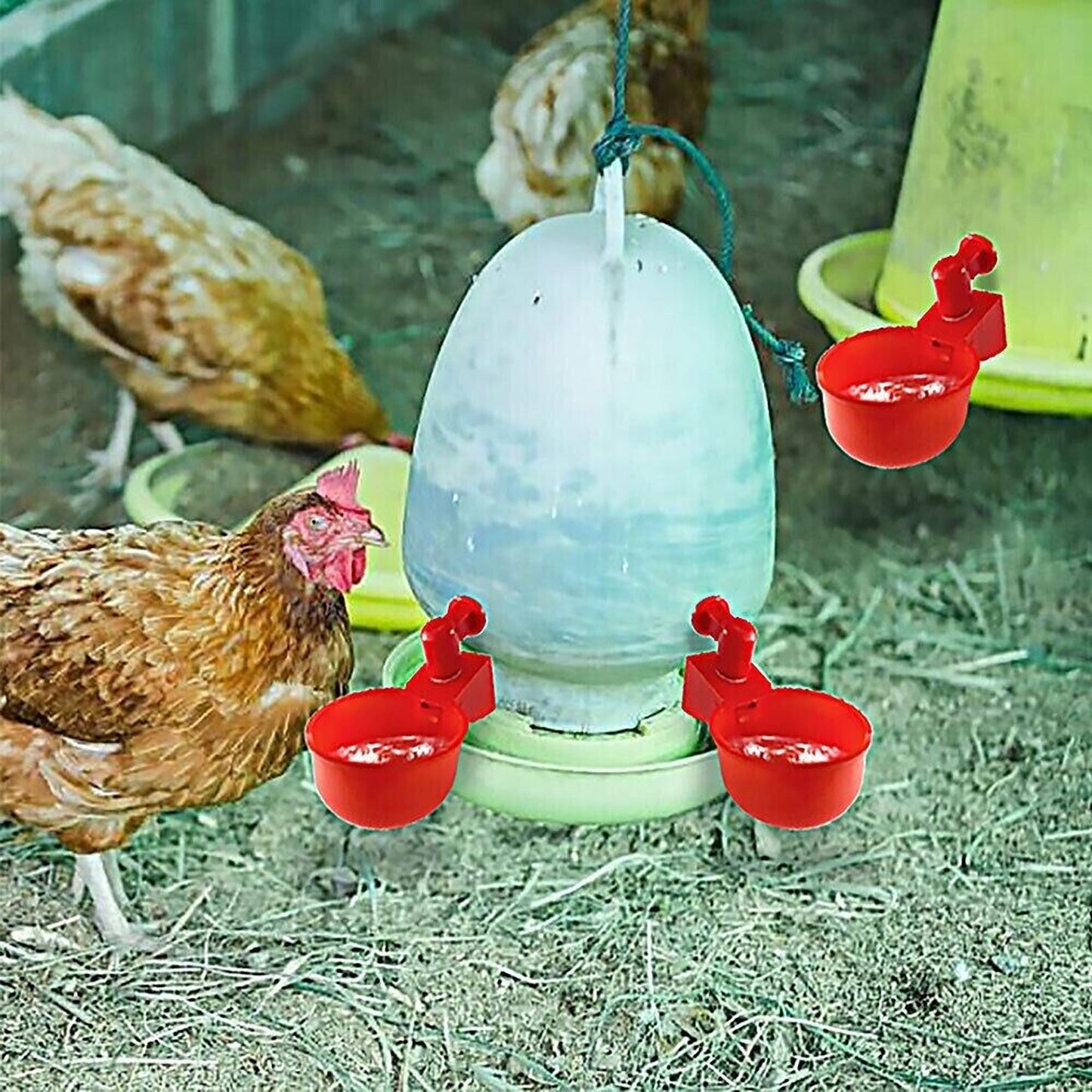 6pcs Automatic Poultry Drinking Bowls Chicken Water Cups Feeder
