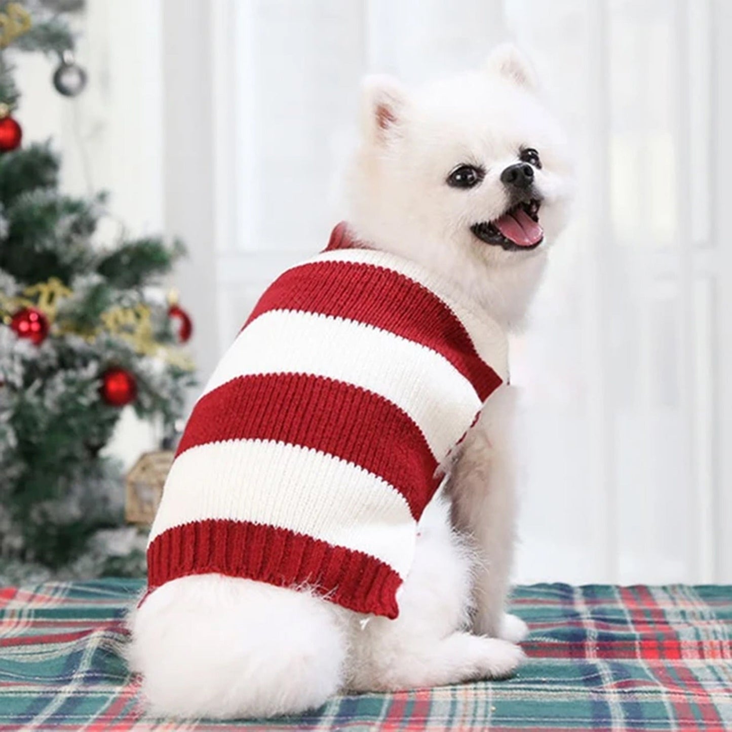 Warm Knitwear for Small Pets Knitted Jumper Sweater for Dog Cat