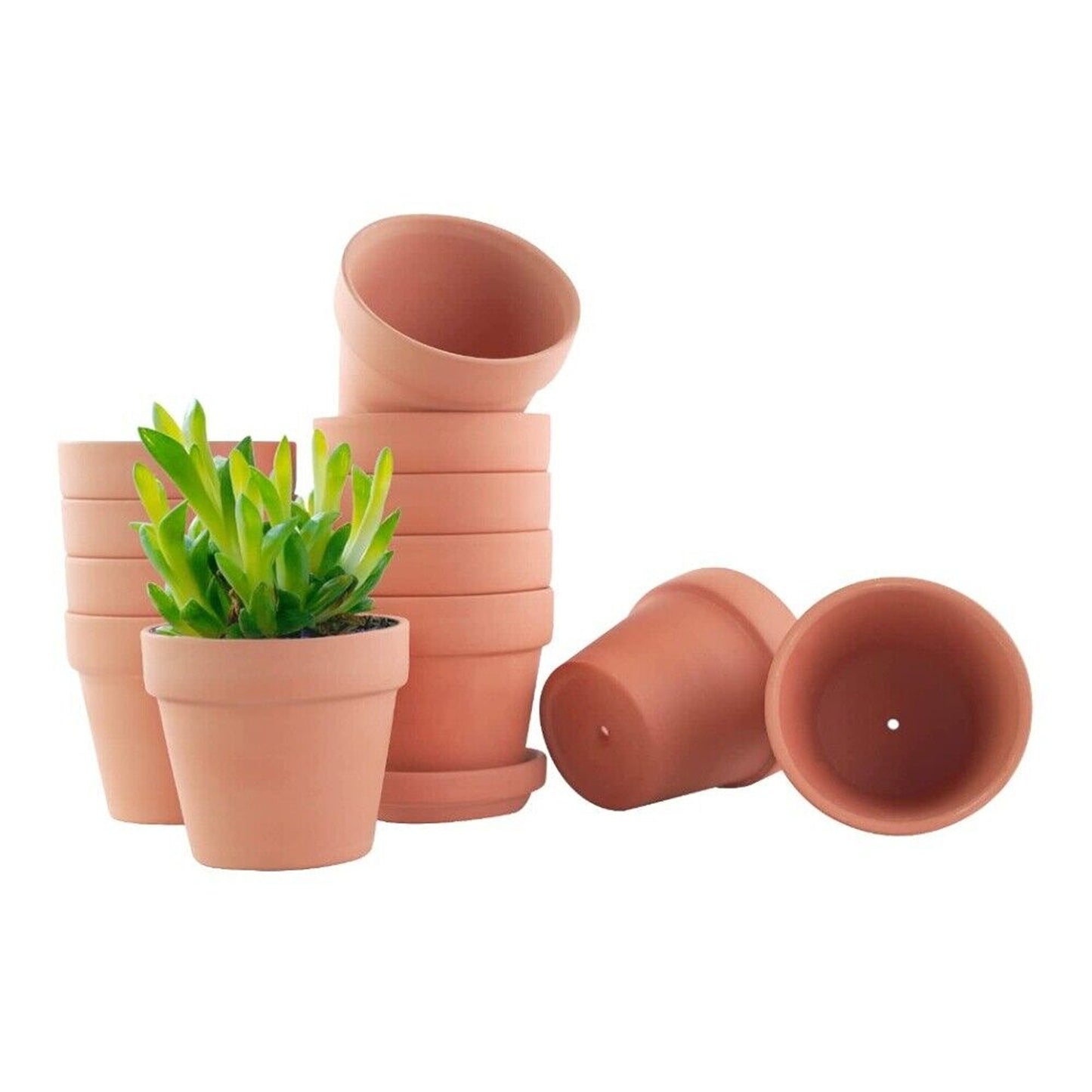 10pcs Decorative Mini Succulent Planters Terracotta Clay Pots