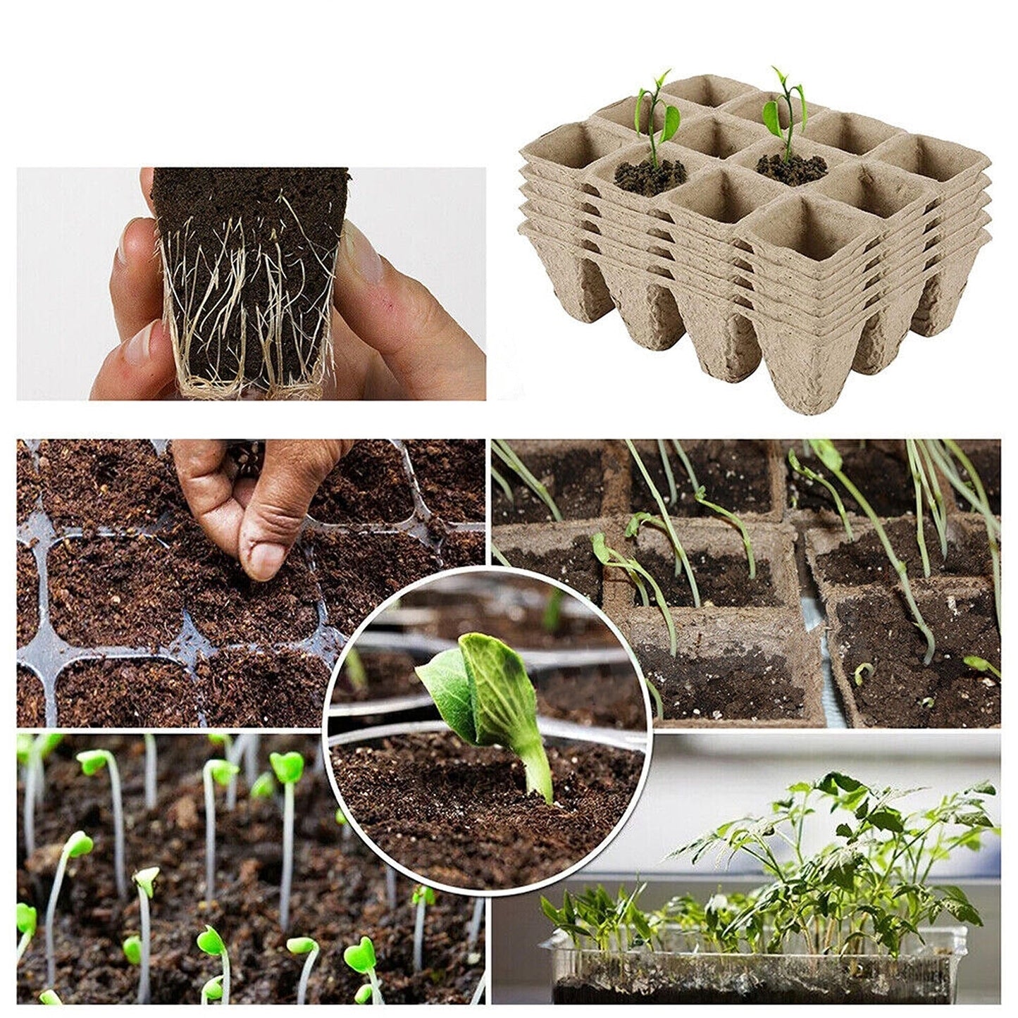 Biodegradable Paper Seedling Trays Garden Nursery Seed Pots