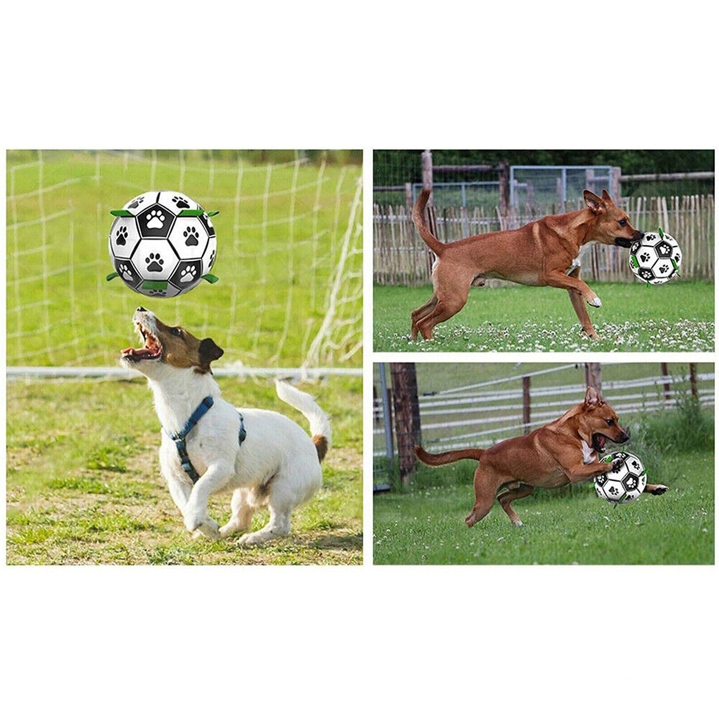 Pet Football Water Tabs Toy Interactive Dog Soccer Ball with Pump