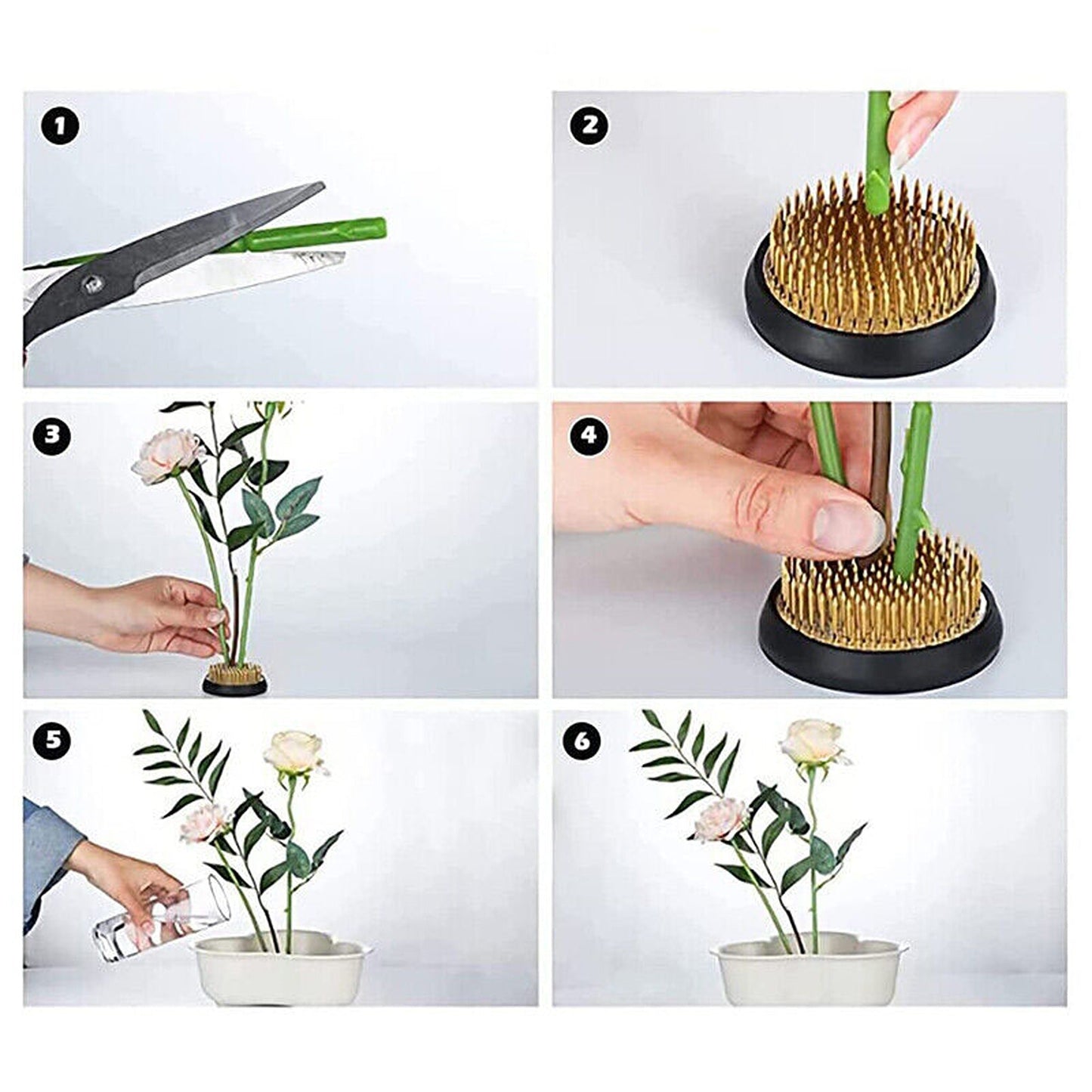 For Ikebana Kenzan Spiky Frog Fixed Tool Flower Arrangement Round Base