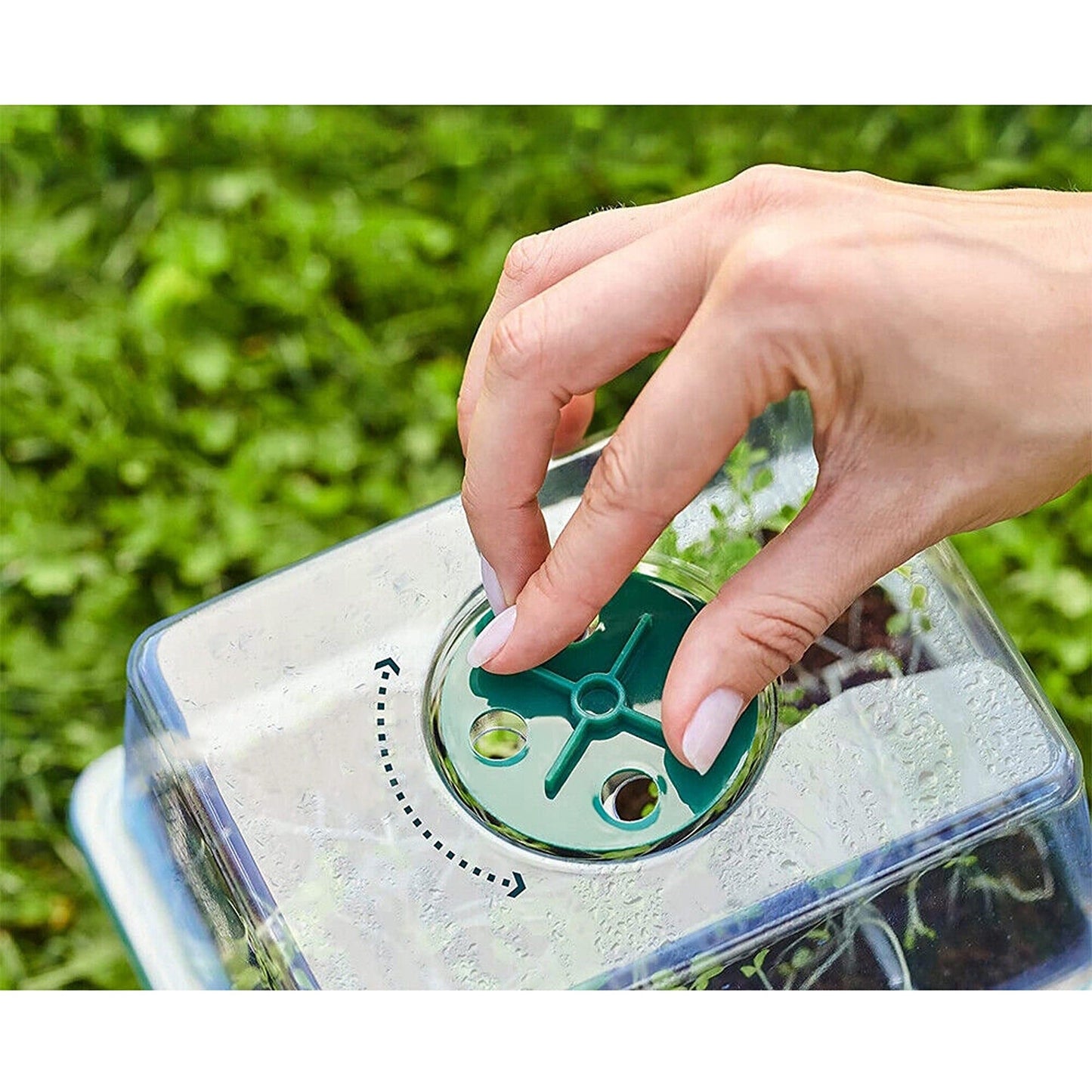 Set of 10 Seedling Starter Tray for Plant Growth and Propagation