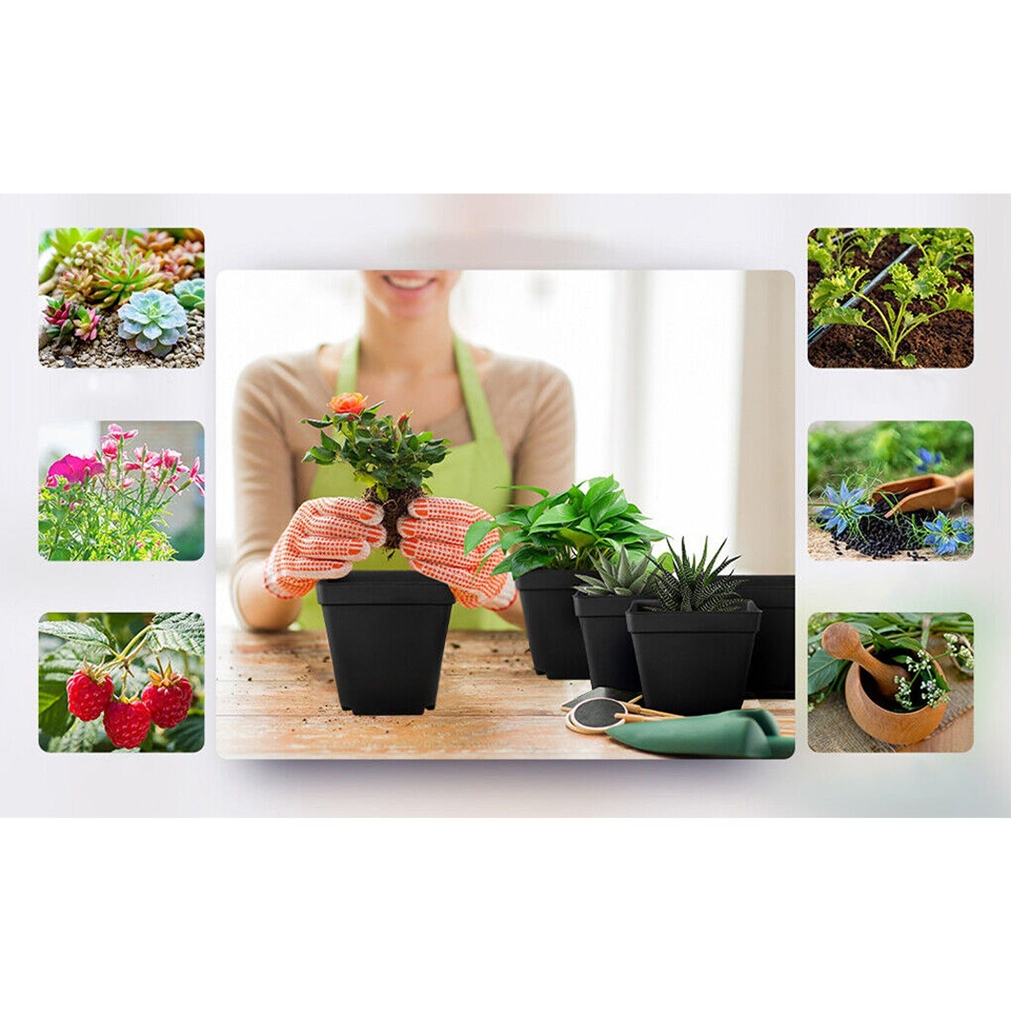Seedling Nursery Pots Plastic Plant and Flower Containers for Garden