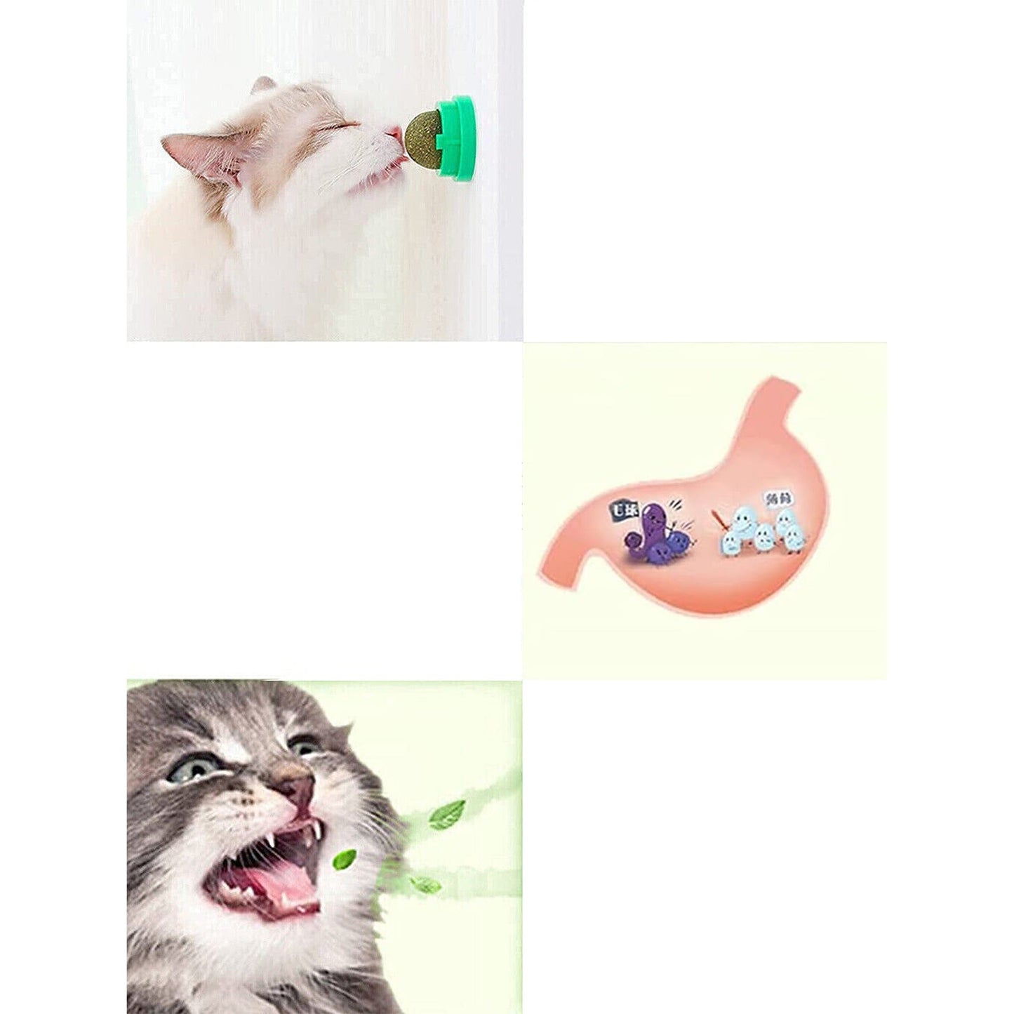 Wall Mount Catnip Ball Toy for Cats - Digestion Helping Solid Nutrition