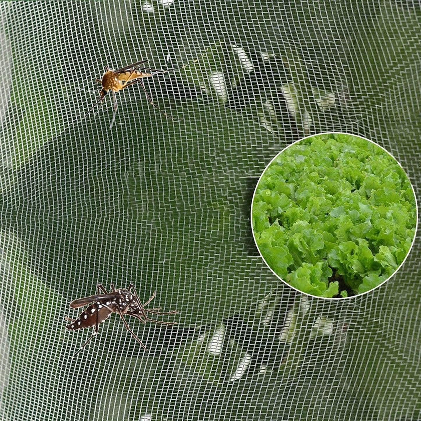 Protective Garden Mesh Netting for Plants Birds Insects and Animals