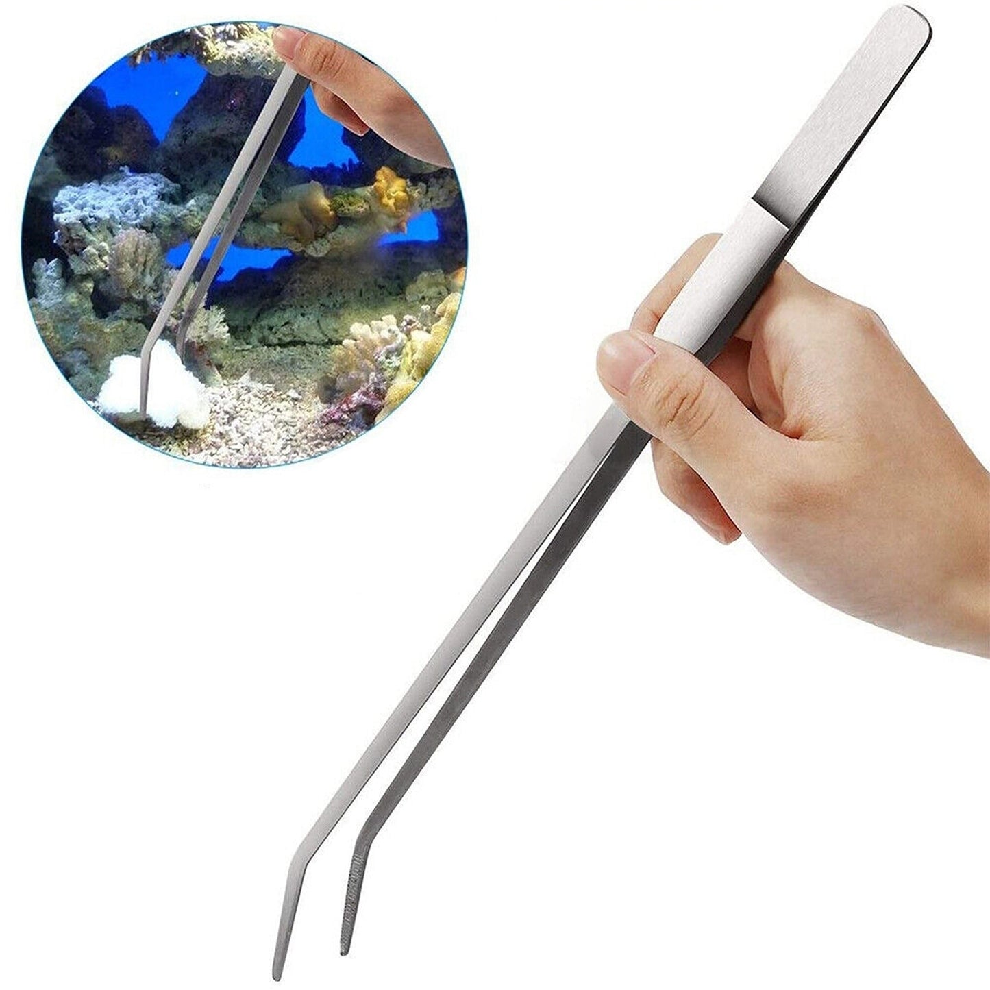 5pcs Aquarium Maintenance Tool Kit Stainless Steel Plant Tweezers Scissors Set