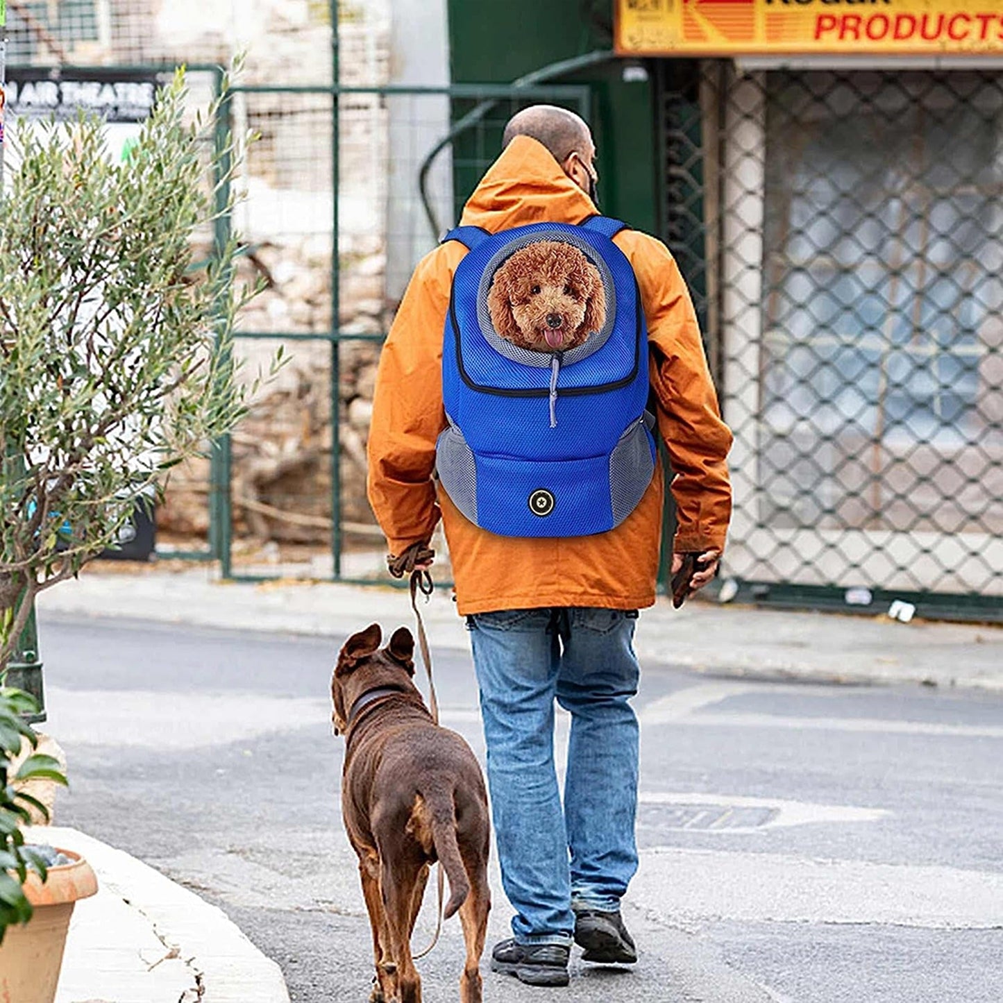 Blue Mesh Travel Pet Backpack Dog Carrier Shoulder Bag
