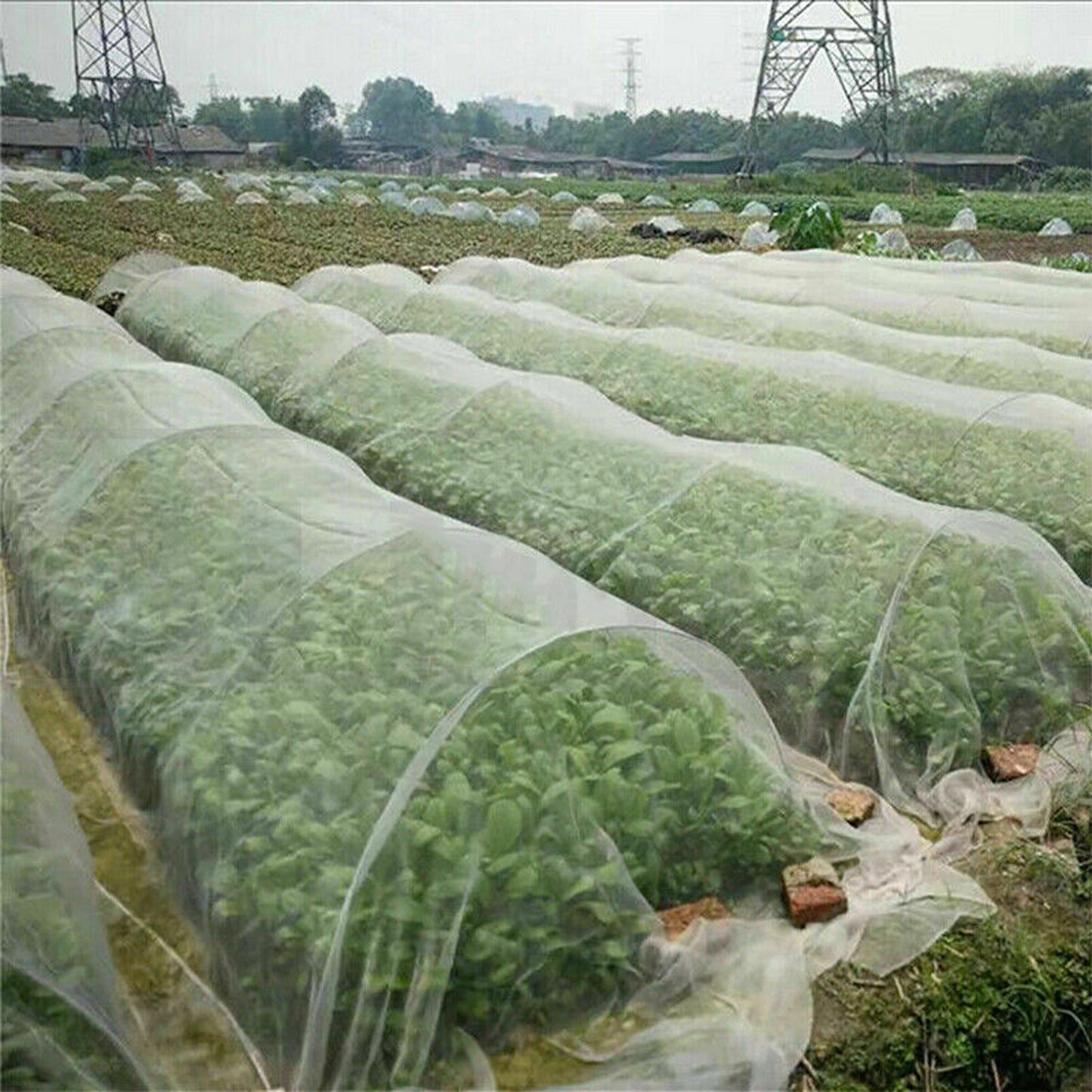 Insect Protection Mesh Netting for Fruits and Vegetable Plants