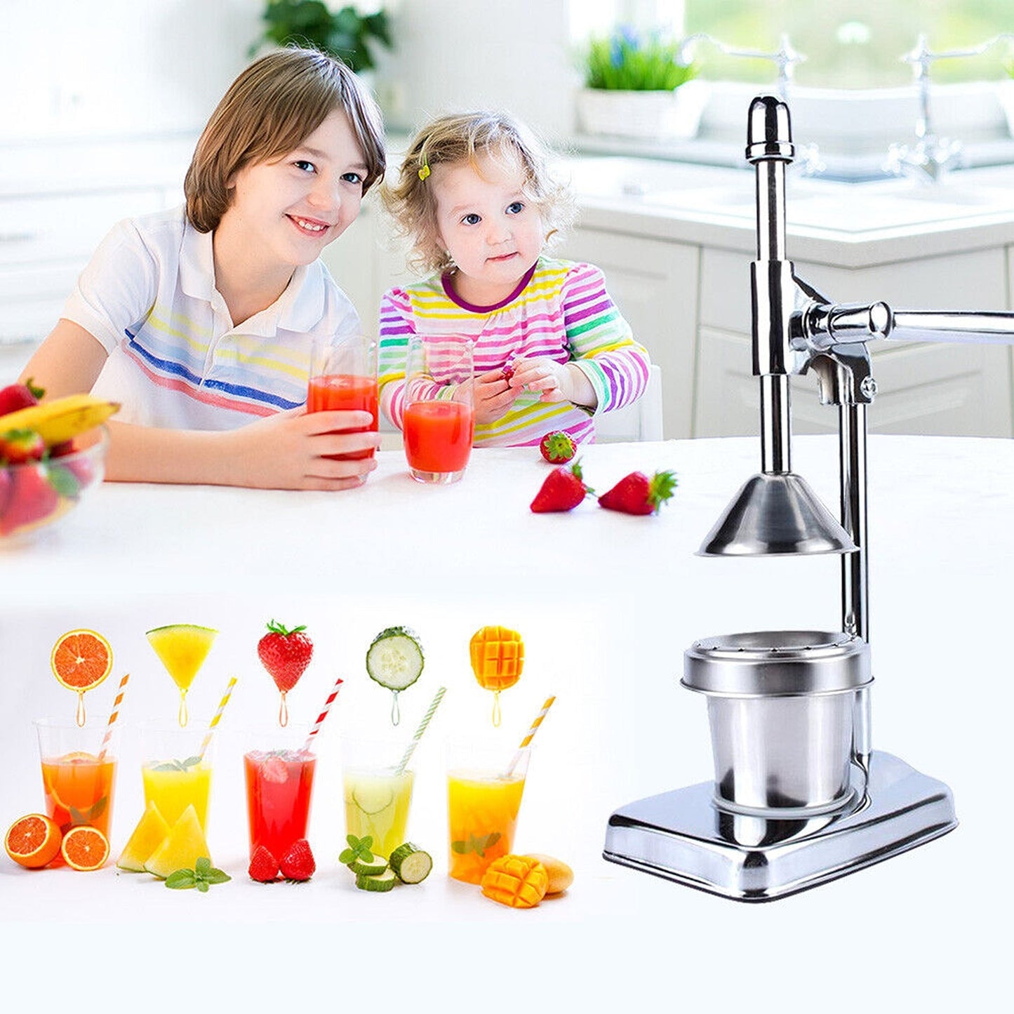 Manual Citrus Fruit Juicer Commercial Grade Hand Press Orange Squeezer