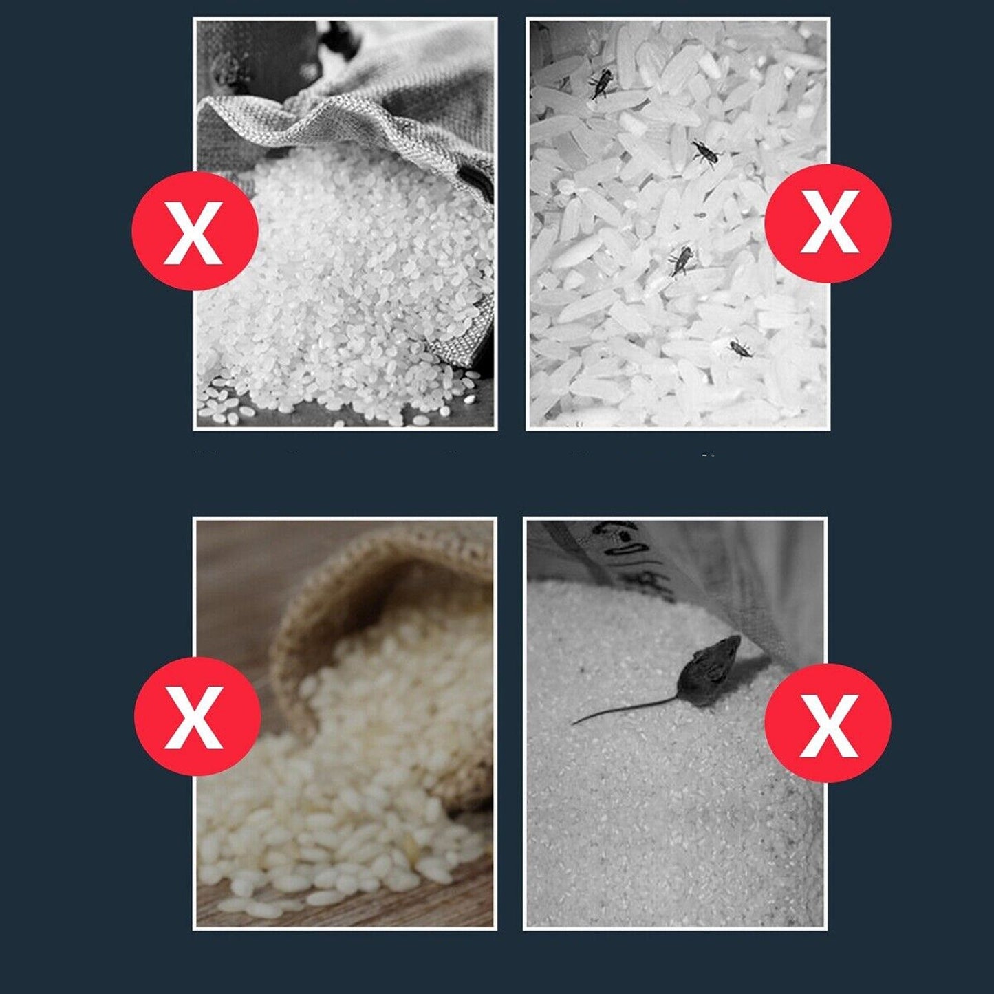 10kg Automatic Grain Storage Dispenser Dry Food Rice Container