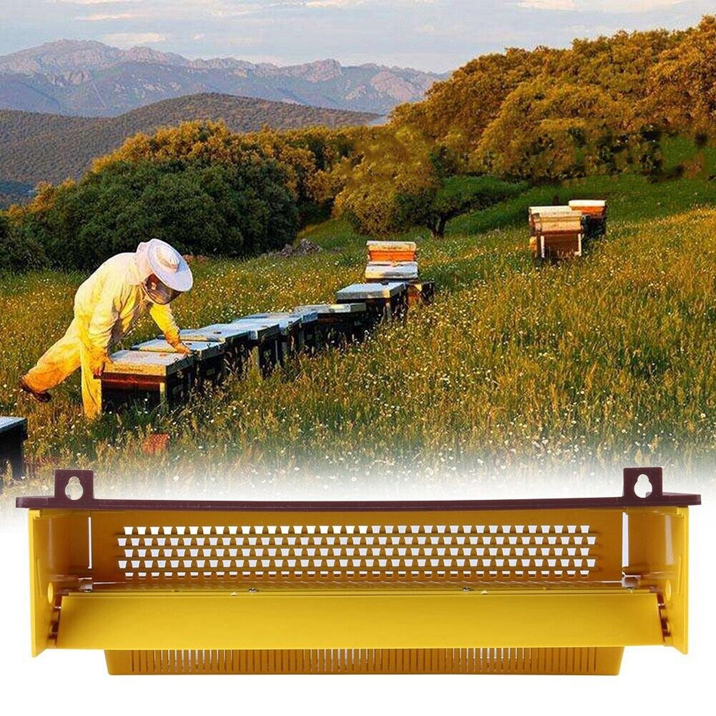Bee Pollen Trap Collector Tool with Removable Tray for Beekeeping