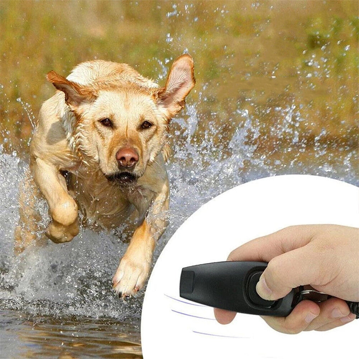 Puppy Training Set Dog Whistle Clicker Combo for Barking and Obedience