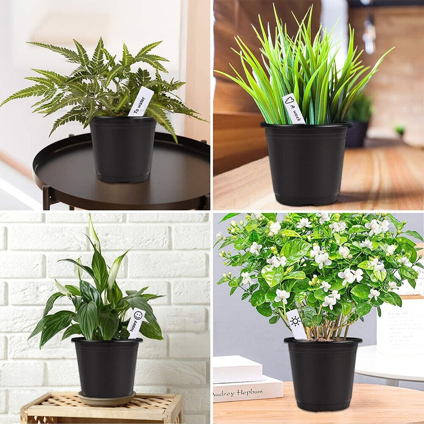 100pcs Plastic Growing Containers for Nursery Plants and Seedlings