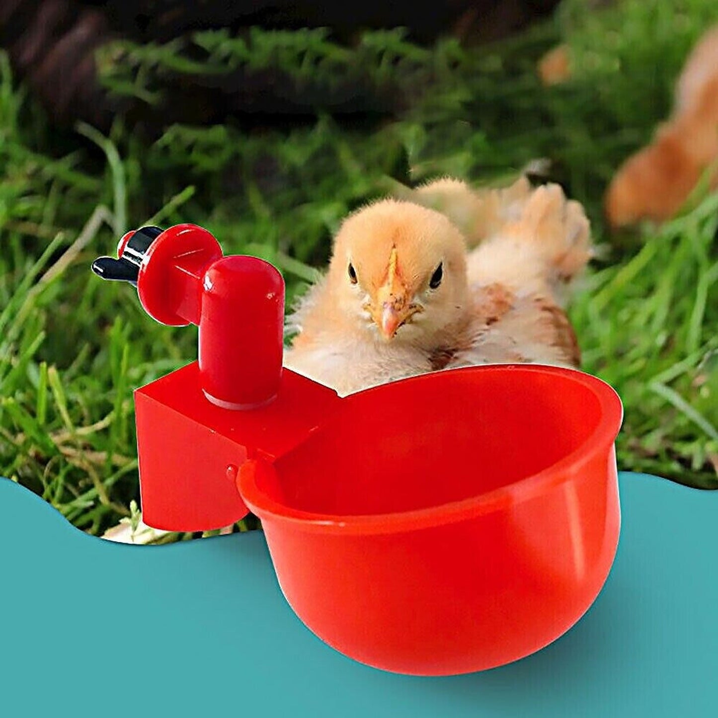 6pcs Automatic Poultry Drinking Bowls Chicken Water Cups Feeder