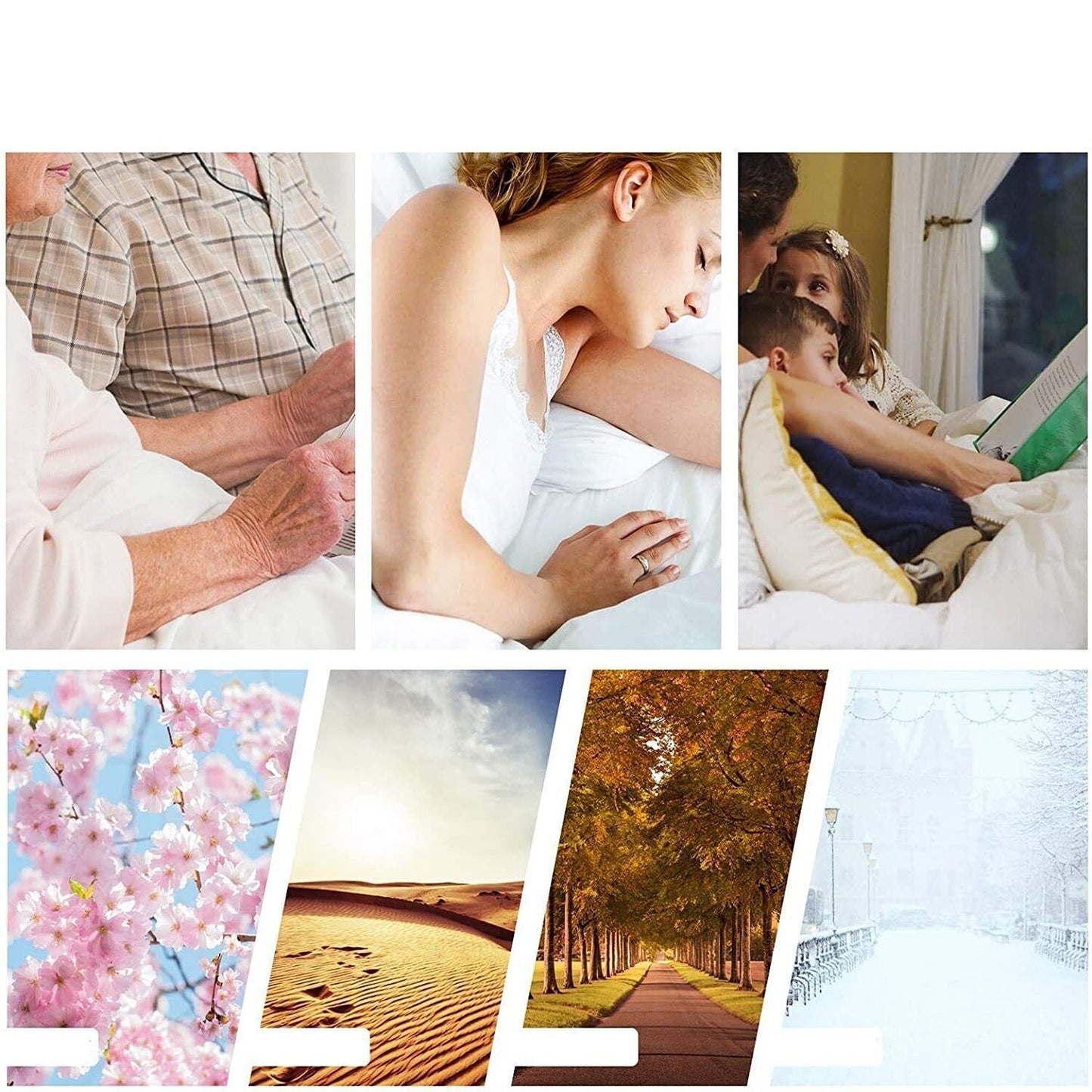 700GSM Merino Wool Duvet for Summer and Winter Single Double Queen King