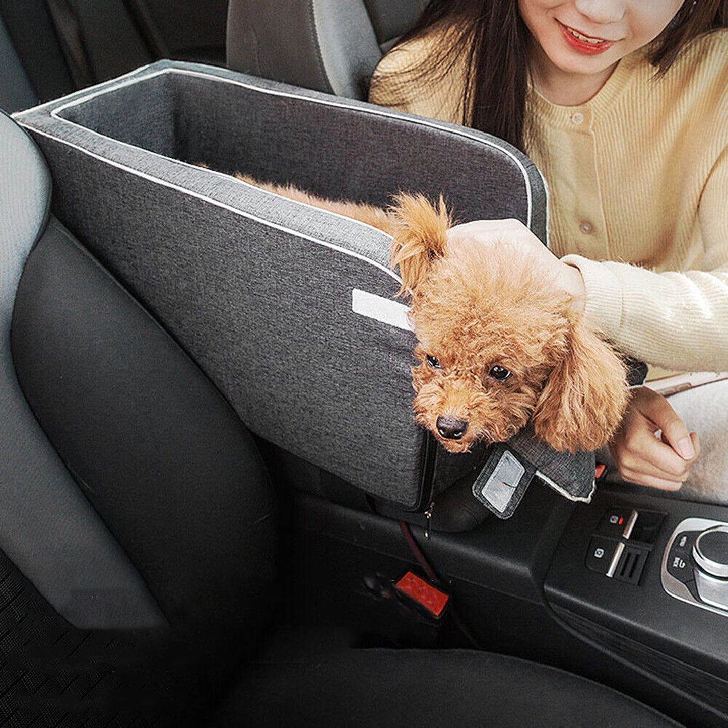 Pet Car Booster Seat Puppy Basket Safety Console Supplies Buckle