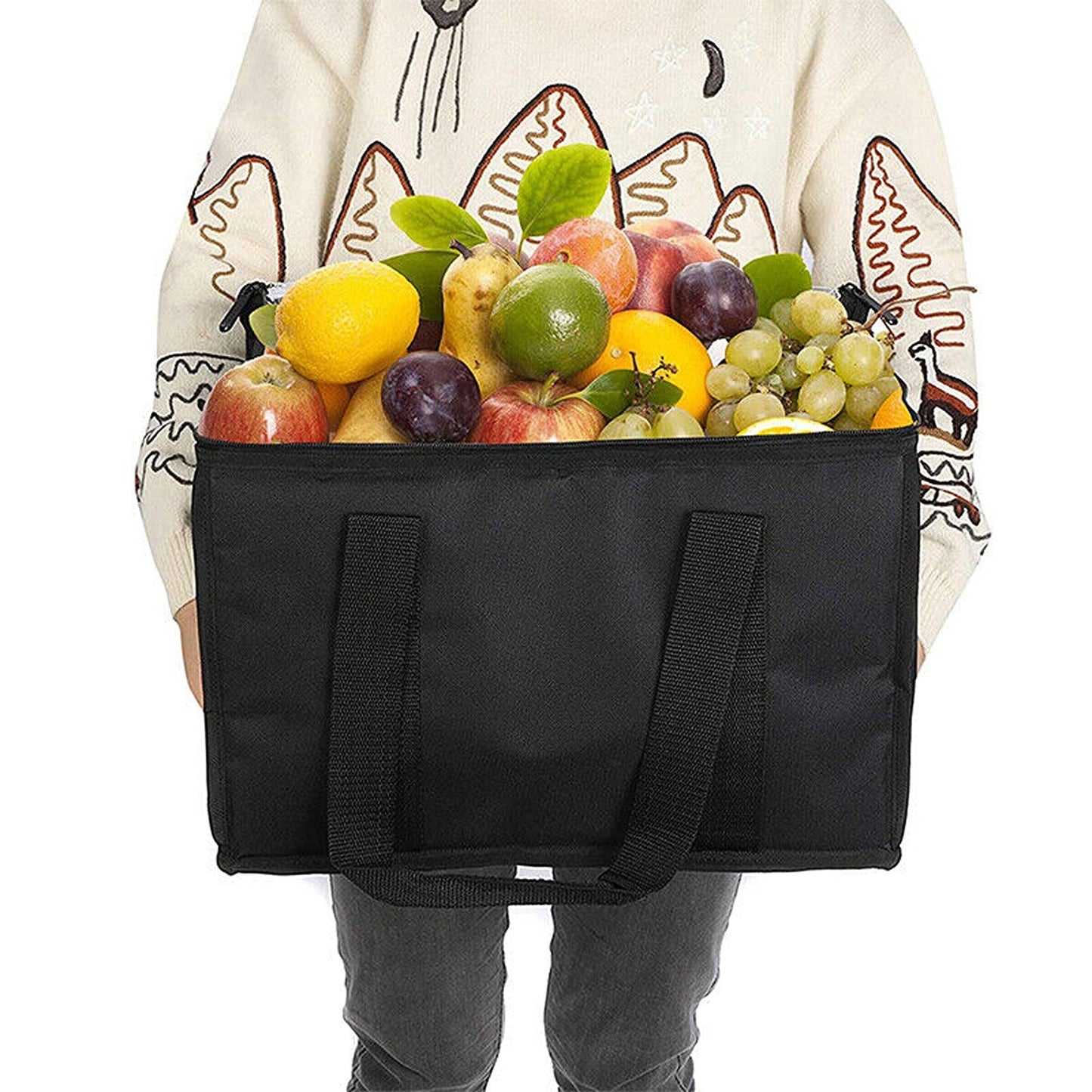 Insulated Thermal Pizza Bag Hot Cold Food Delivery Carrying Case