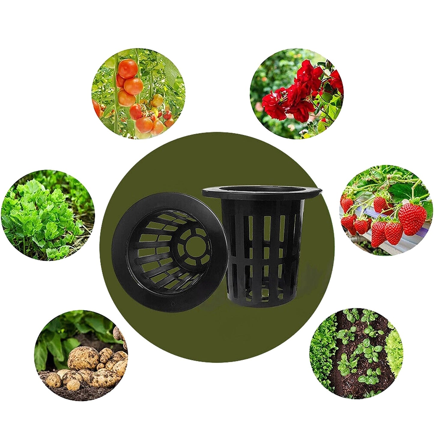 40pcs Hydroponics Aeroponic Planting Baskets Mesh Net Cup