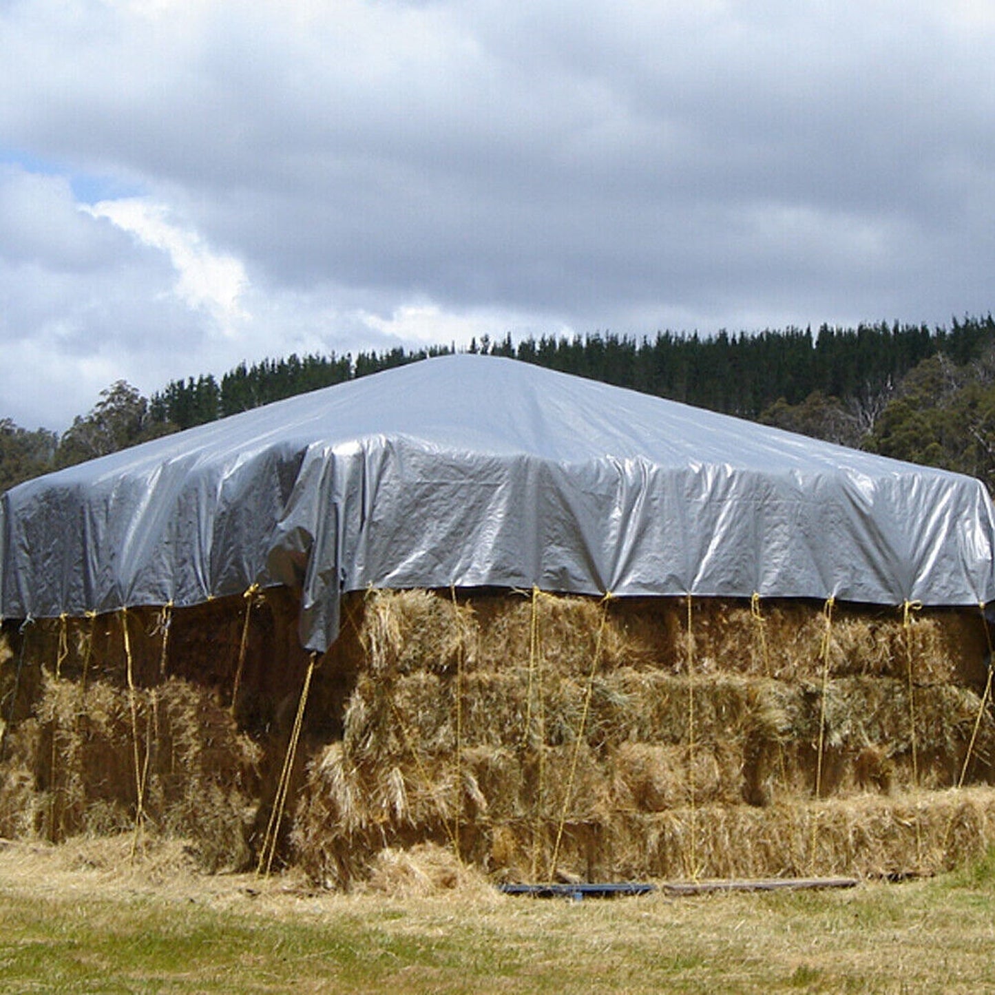 Silver Heavy Duty Weatherproof Tarpaulin Ideal Camping Shelter