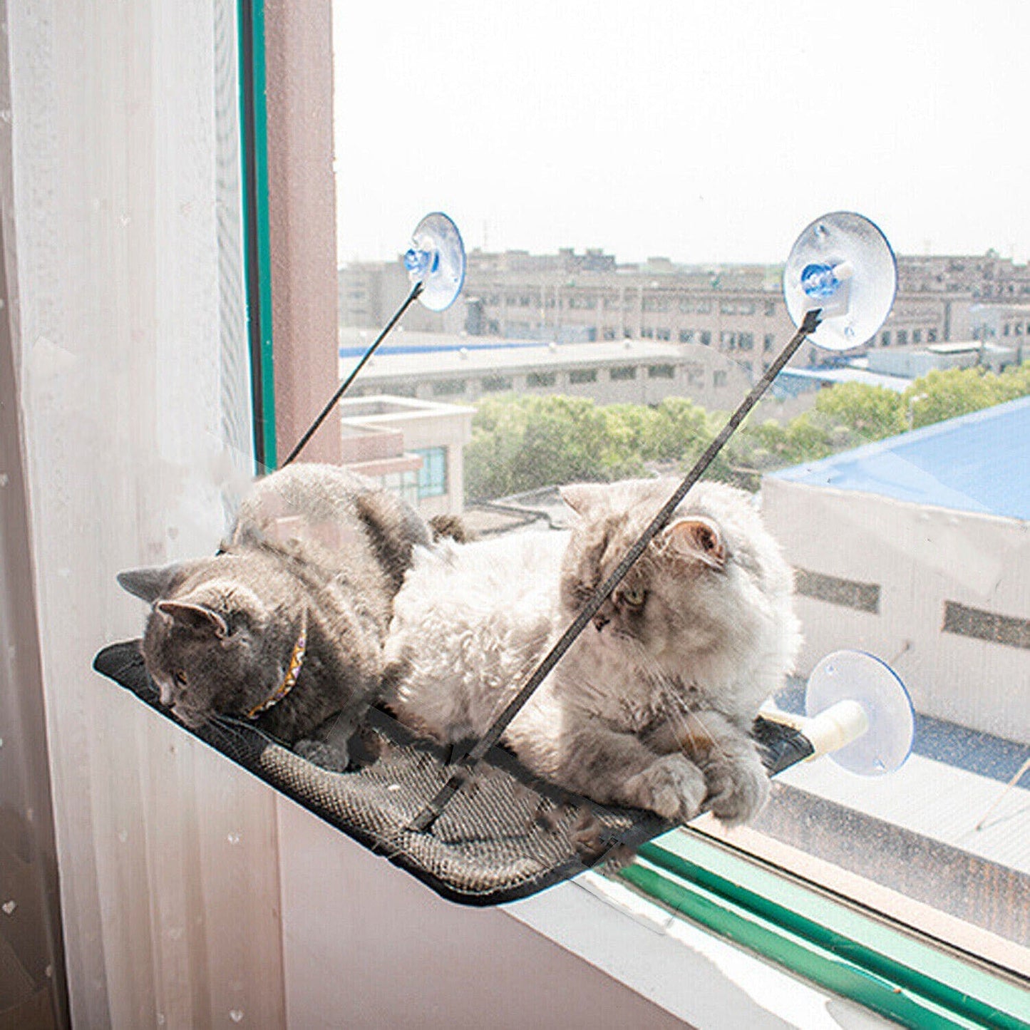 Durable Window Mounted Pet Cat Hammock Hanging Bed