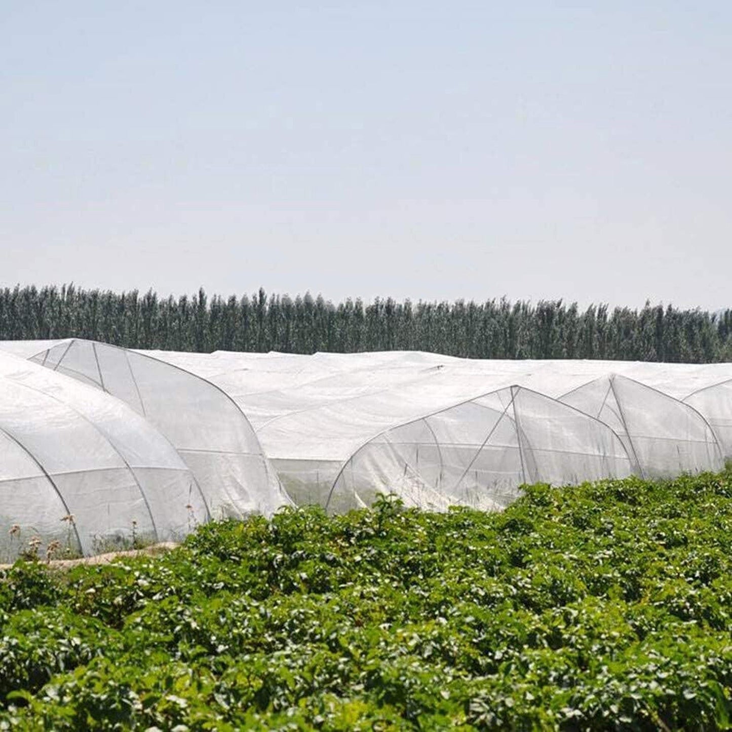 Protective Garden Mesh Netting for Plants Birds Insects and Animals
