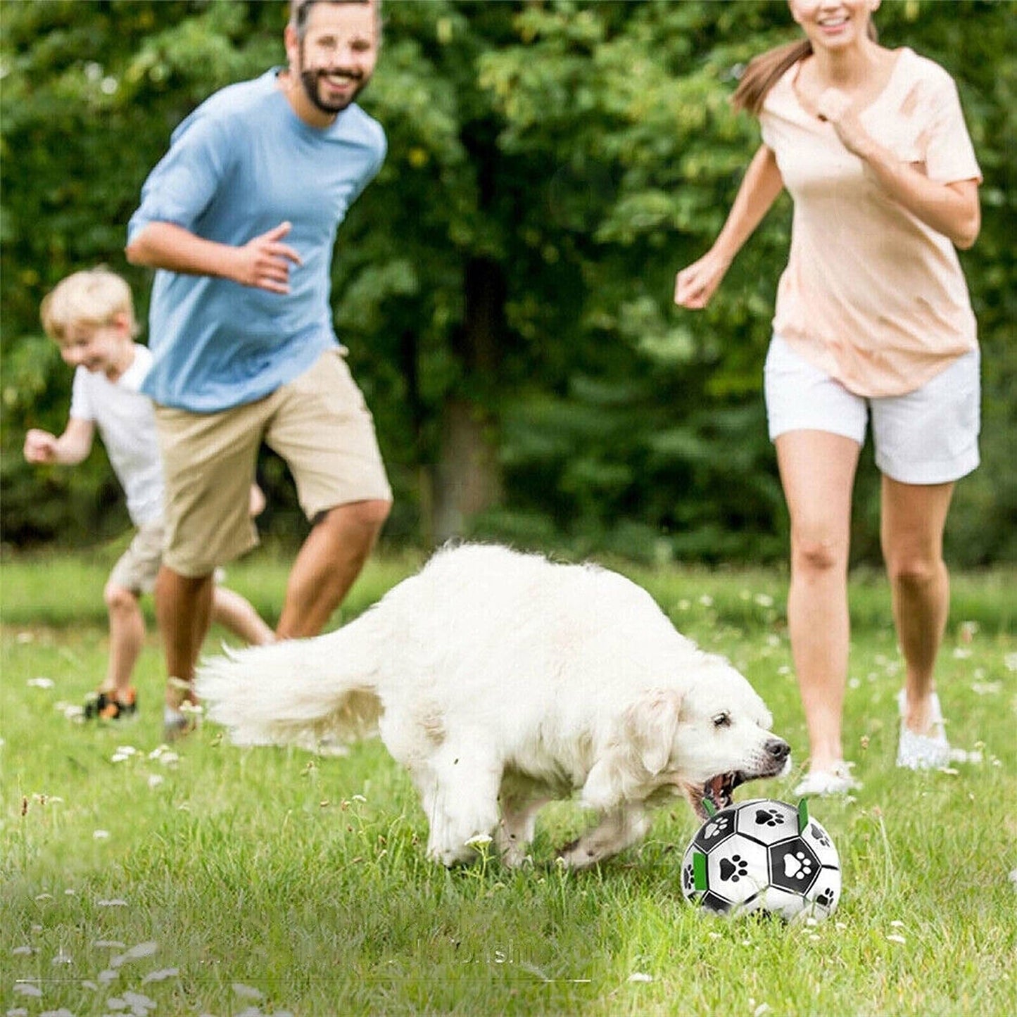 Pet Football Water Tabs Toy Interactive Dog Soccer Ball with Pump