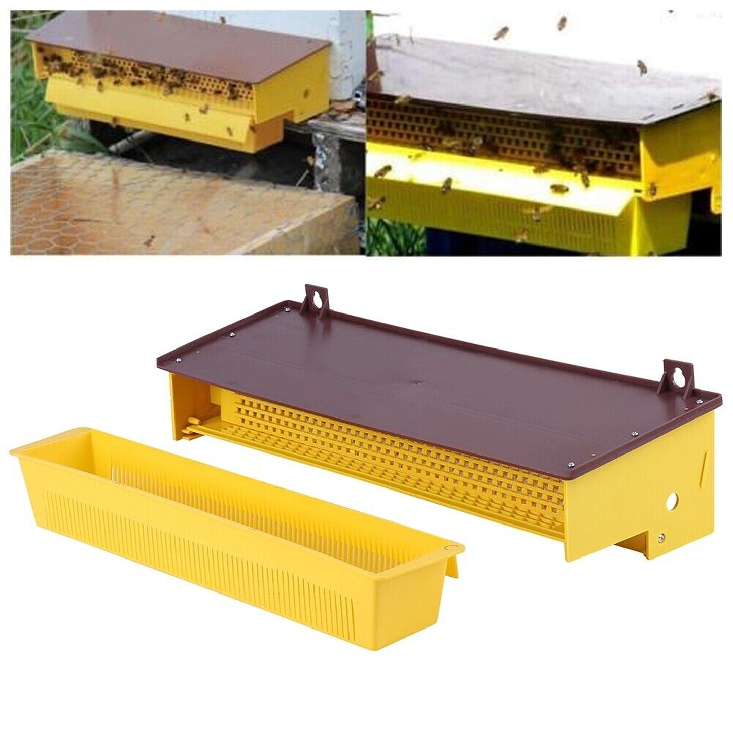 Bee Pollen Trap Collector Tool with Removable Tray for Beekeeping