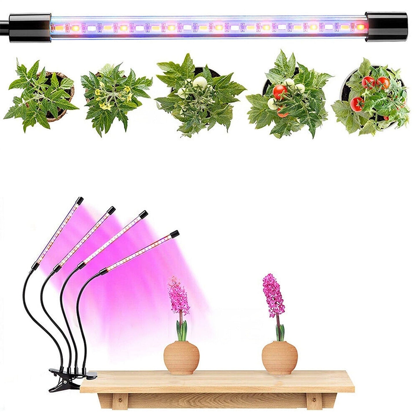 Advanced Indoor Plant Growth Light 80 LED 4 Head 40W