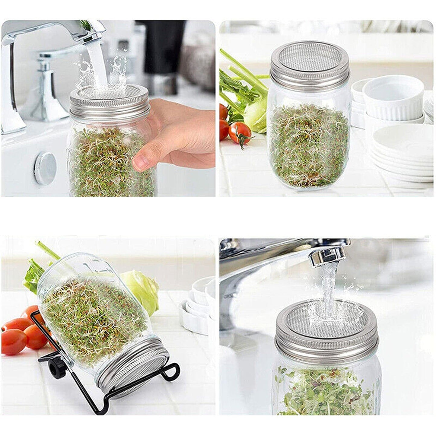Mason Jar Seed Germination Kit with Sprouter Lids and Stands - 2 Sets