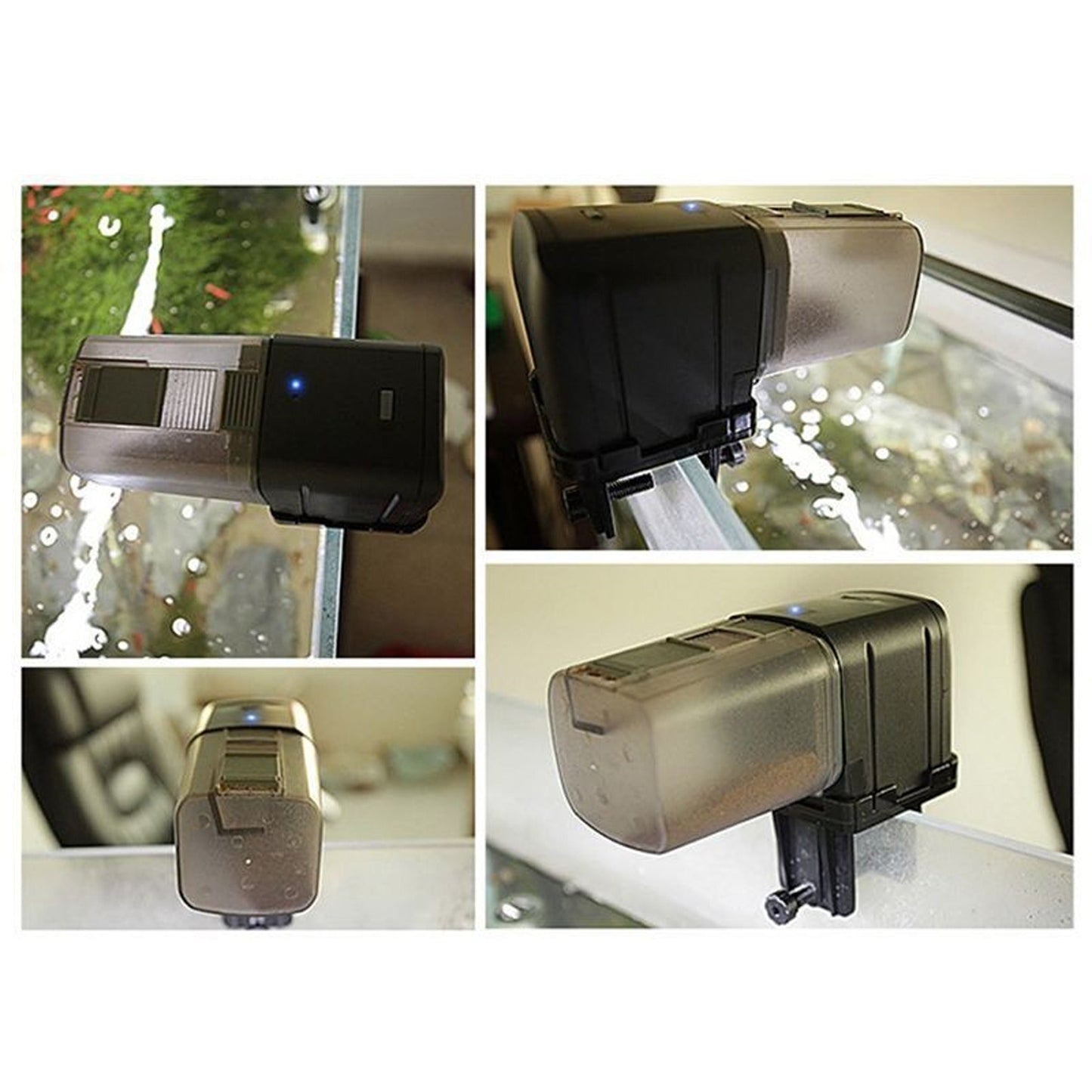 Automatic WiFi Fish Food Dispenser for Aquariums