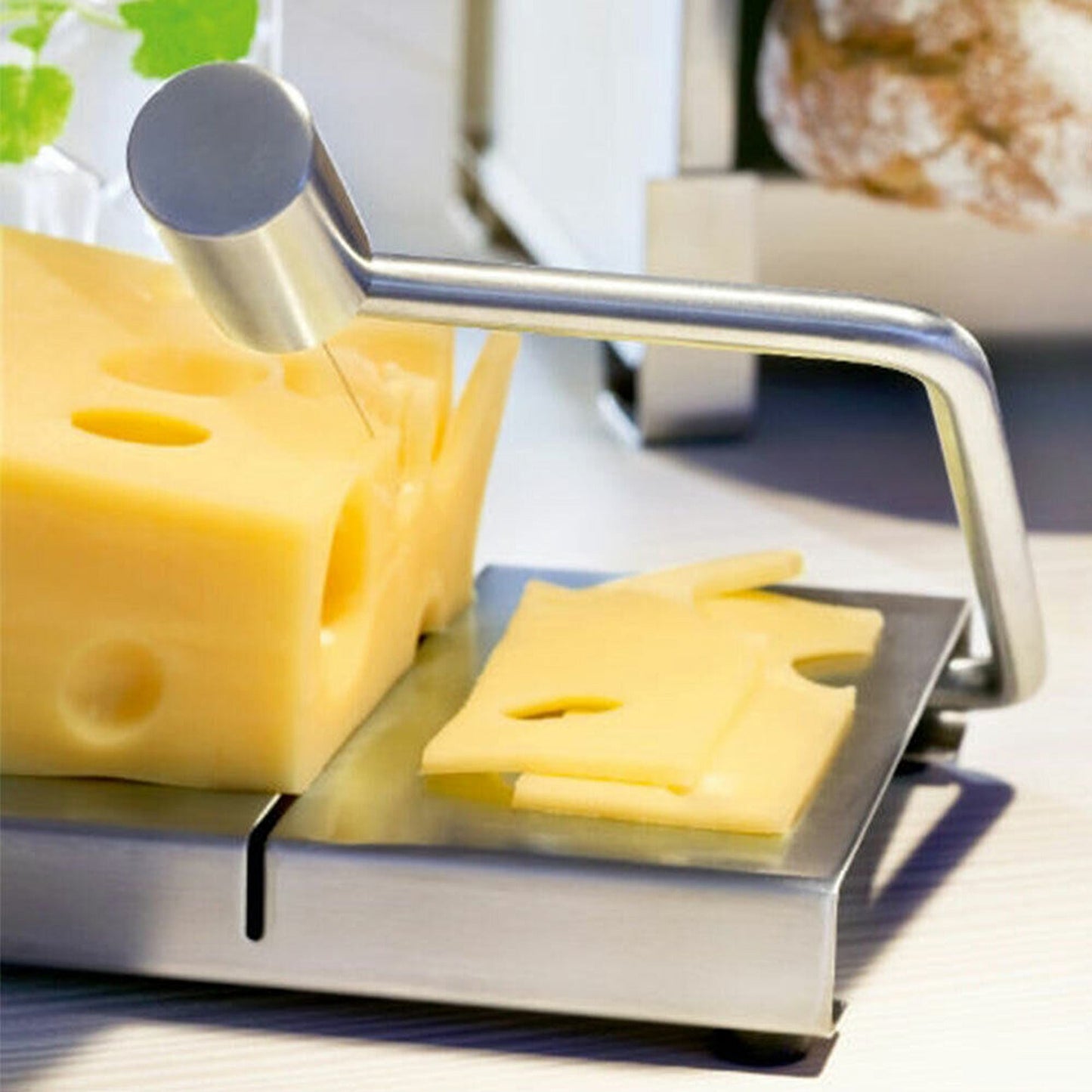 Stainless Steel Cheese and Cake Slicer with Wire Cutter