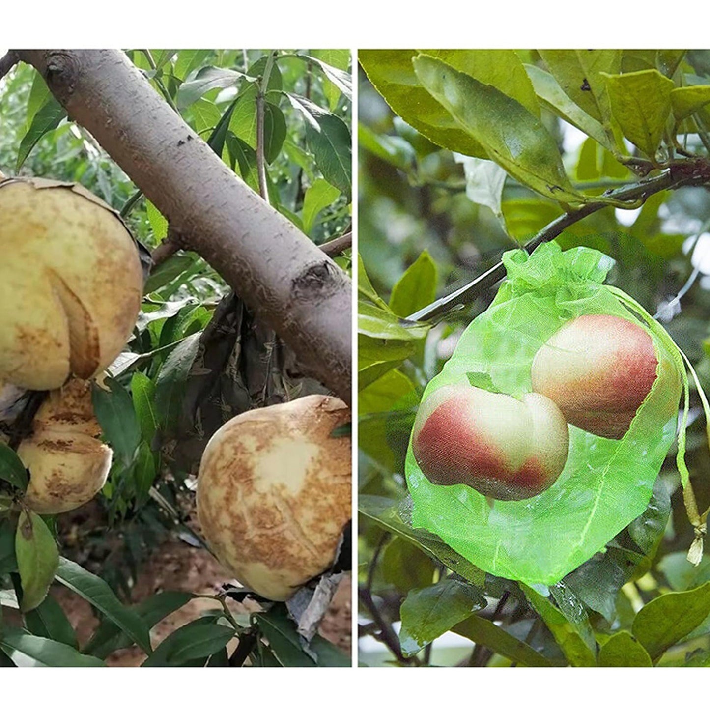 100x Agricultural Fruit Protection Net Bags Insect Proof Mesh 20x30cm