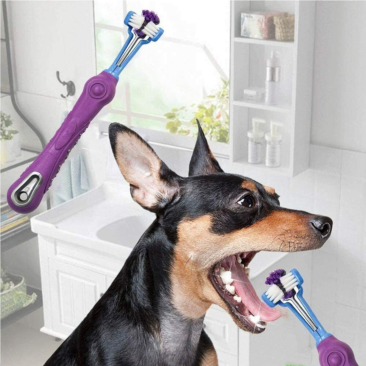Pet Dental Care Three-Sided Dog Toothbrush for Tartar Reduction