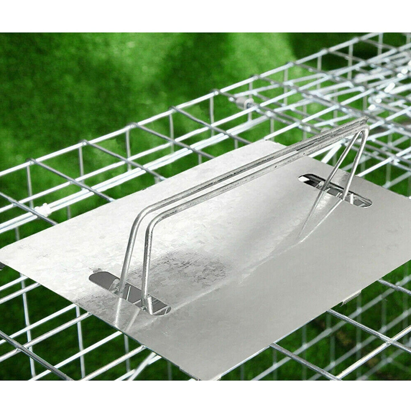 Folding Humane Live Catch Animal Trap Cage for Possum Fox Rat Rabbit Bird