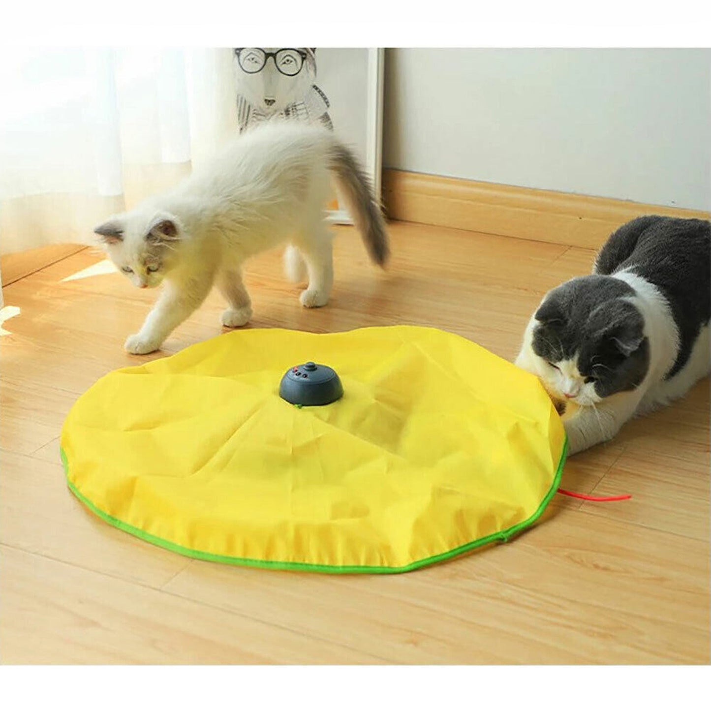 Interactive Cat Toy with Rotating Mouse Electronic Puzzle for Pets