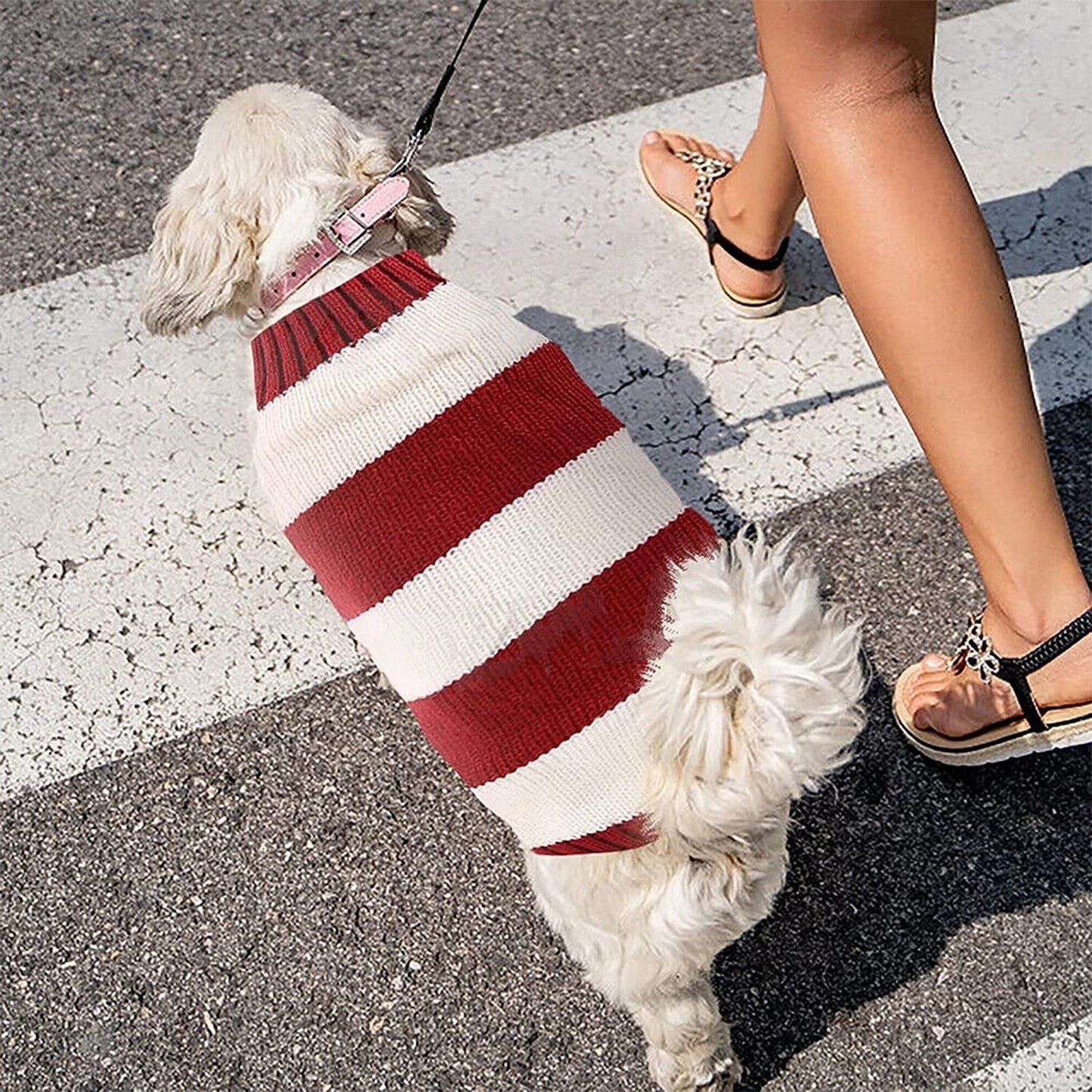 Warm Knitwear for Small Pets Knitted Jumper Sweater for Dog Cat