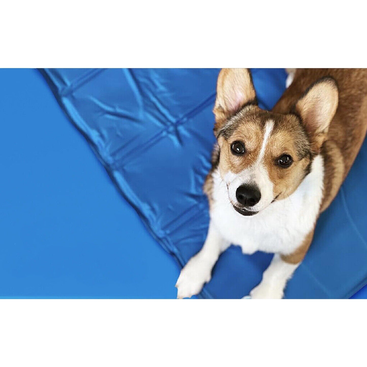 Non-Toxic Cooling Gel Mat for Dogs and Cats Summer Cool Bed