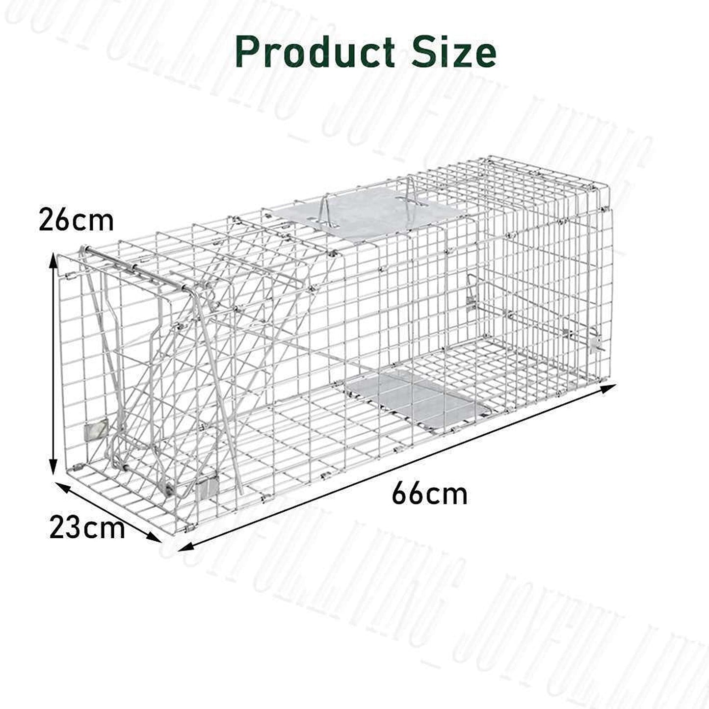 Live Catch Animal Trap Cage for Possum Cat Rabbit and Fox - Humane