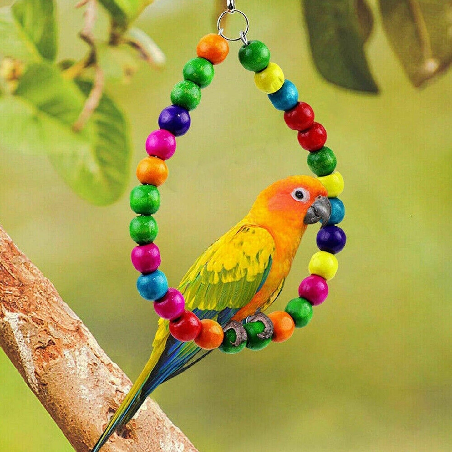 10pcs Parrot Cage Toy Set Swing Chewing Hanging Bell