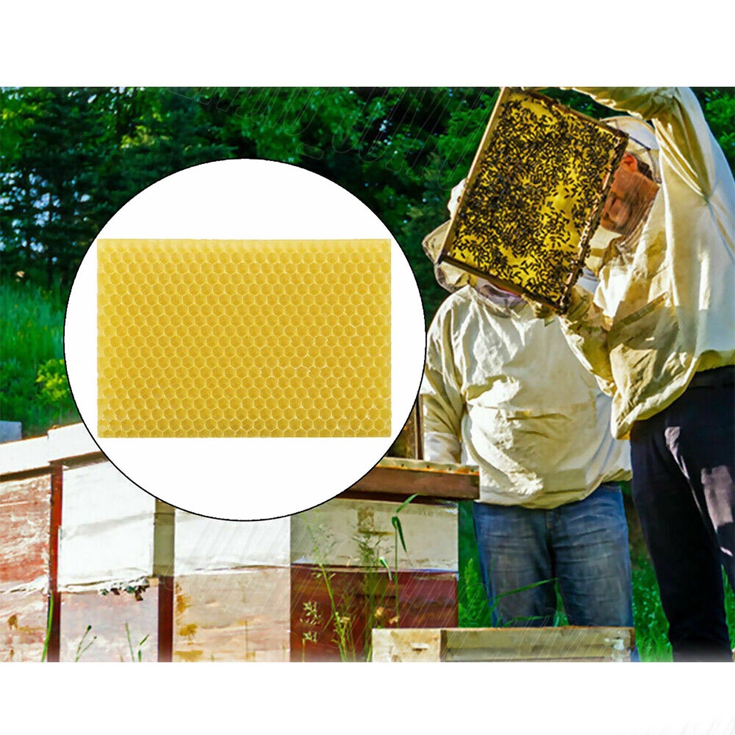 30pcs Beekeeping Equipment Honeycomb Foundation Wax Frames