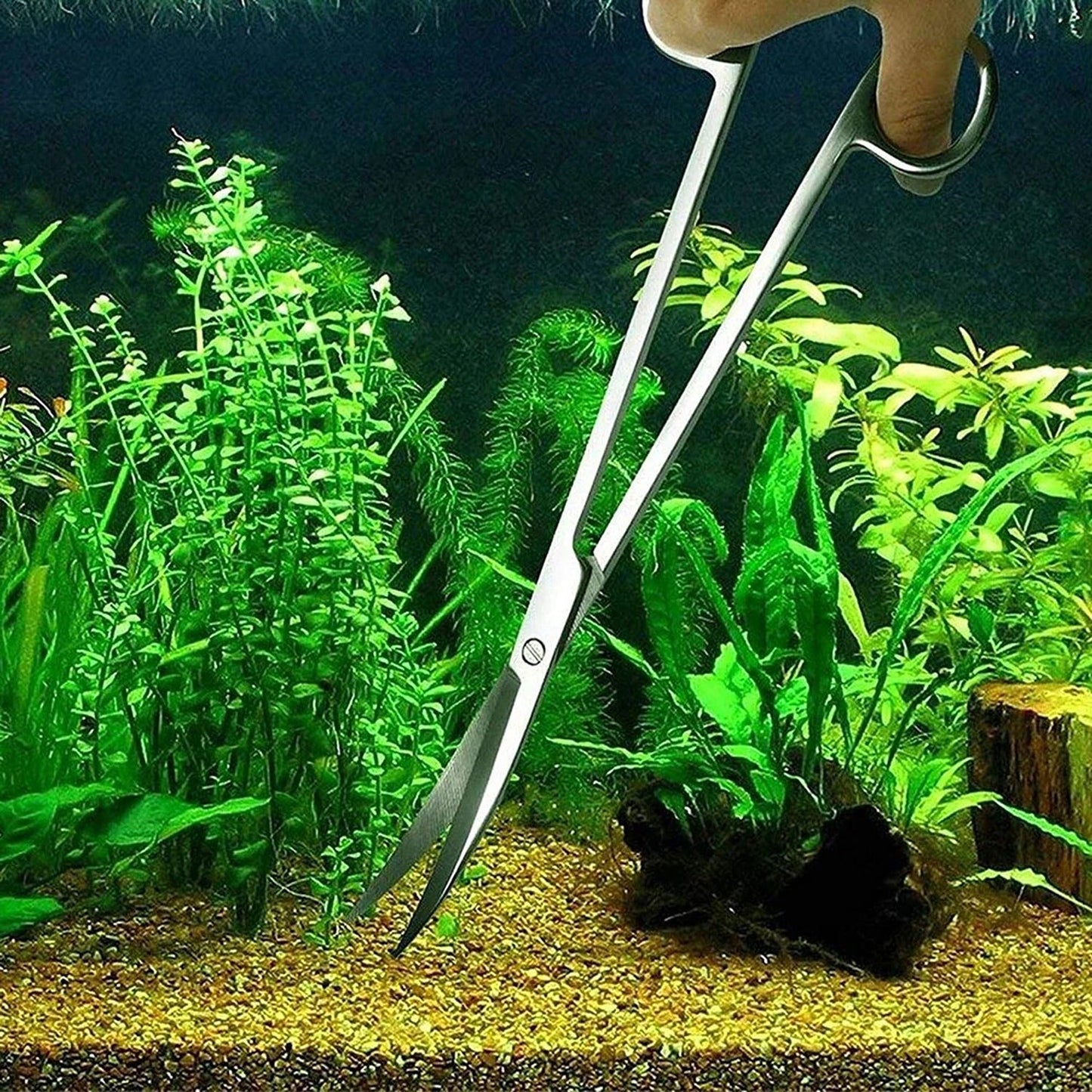 3pcs Aquatic Plant Care Tool Kit for Aquariums Includes Tweezers and Scissors